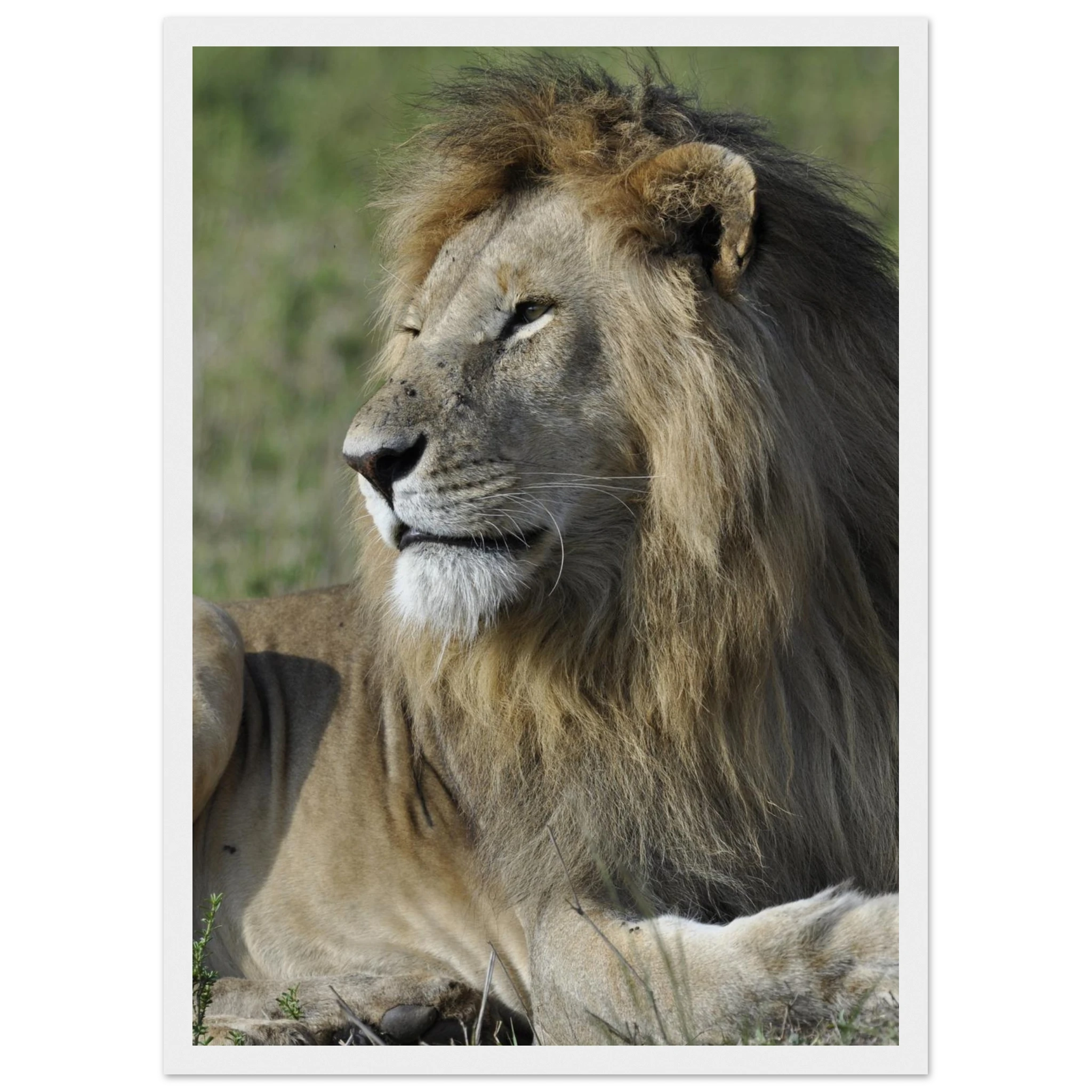 87848c25-9d75-4752-980d-5385137e65e4