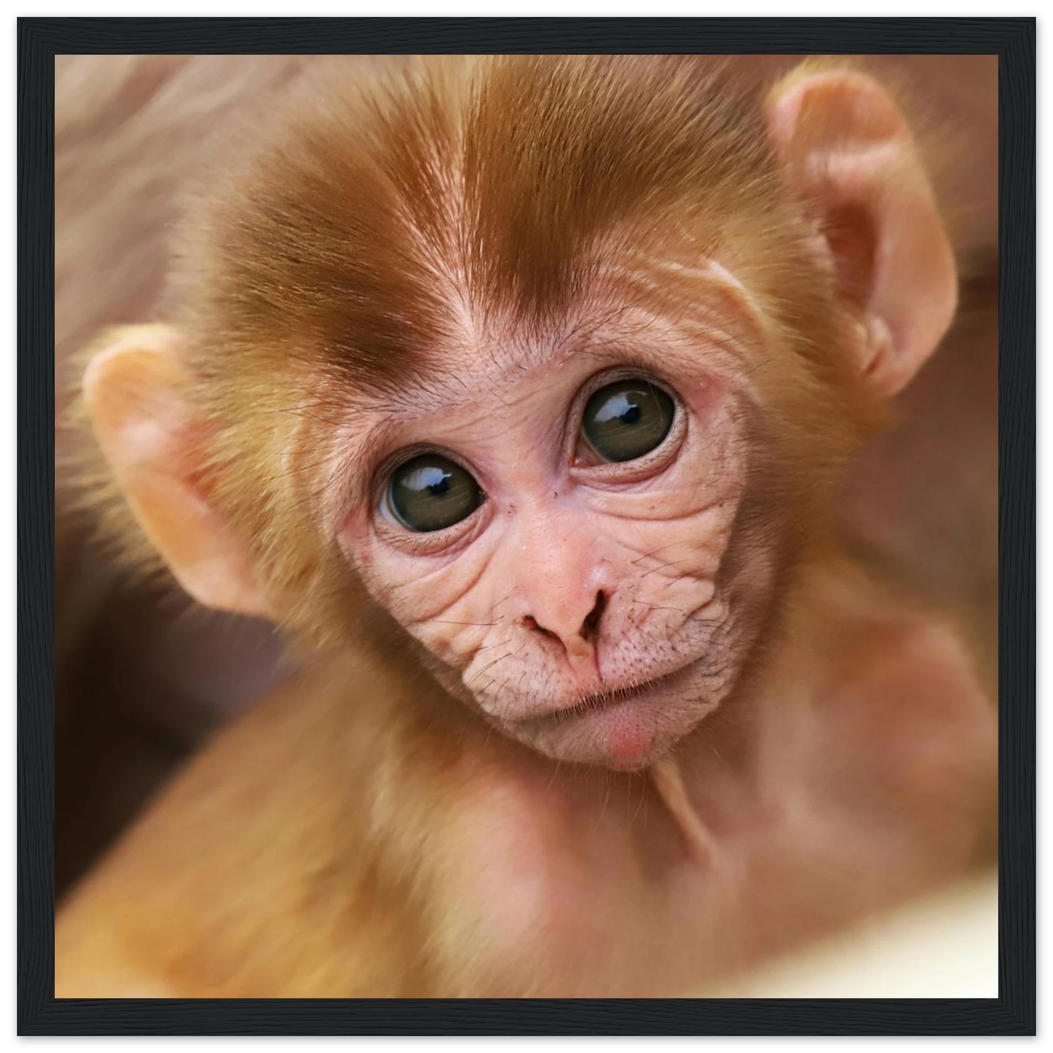 87947dae-dc35-4efa-8b8f-b5b9ea2e4118