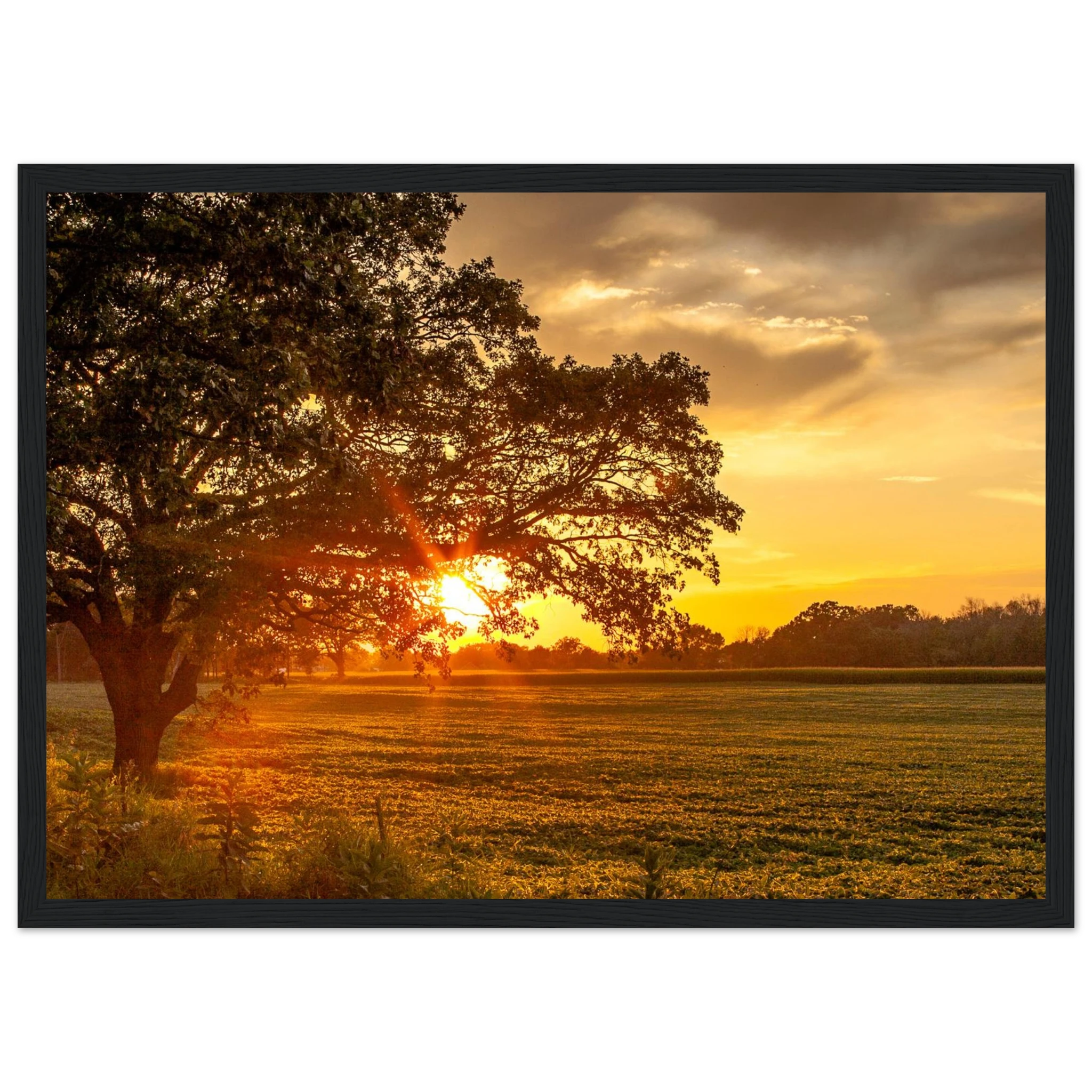 87adc5d0-1e5f-436c-a421-f28fbcc0585f