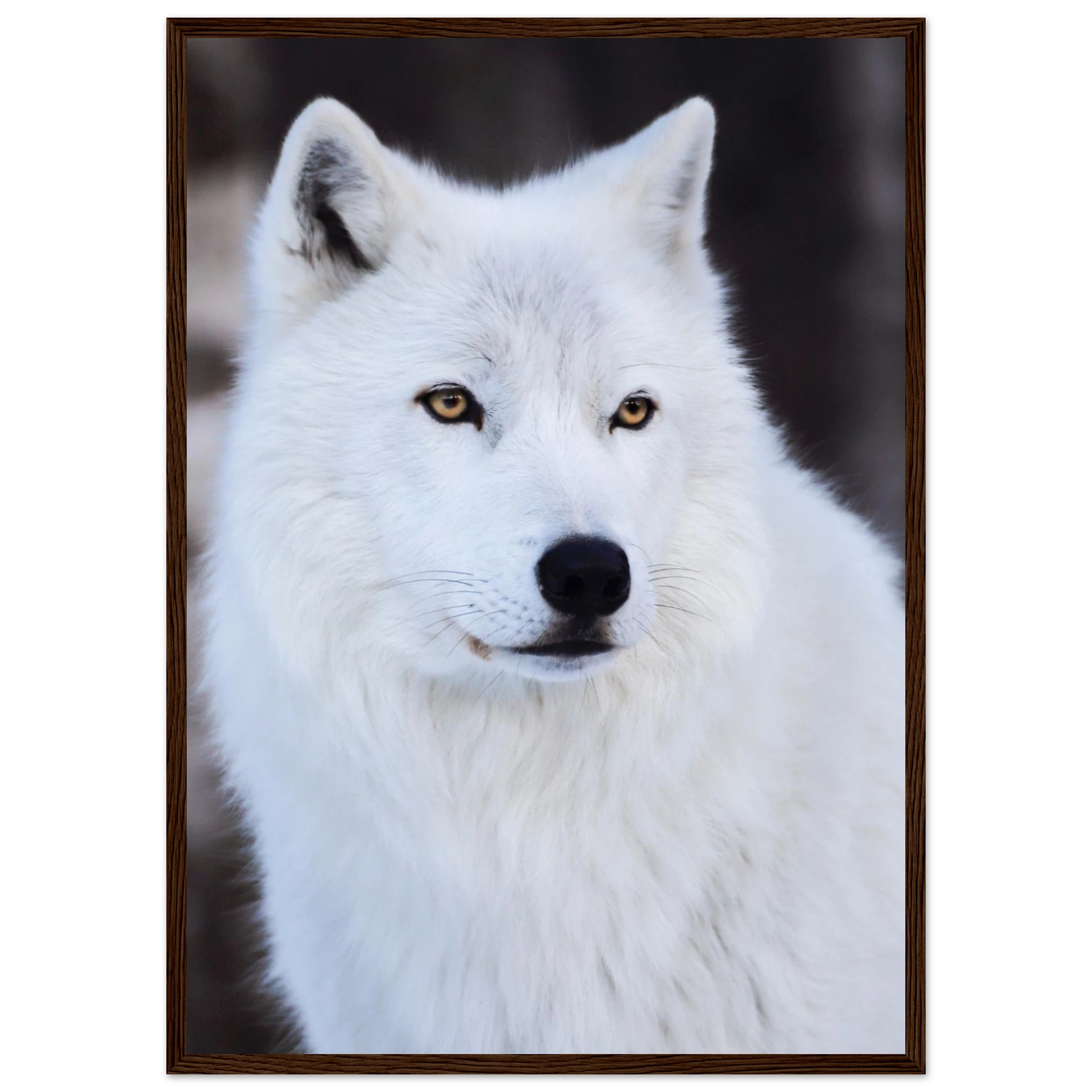 87bc6108-150d-483e-9c56-000deca346b7