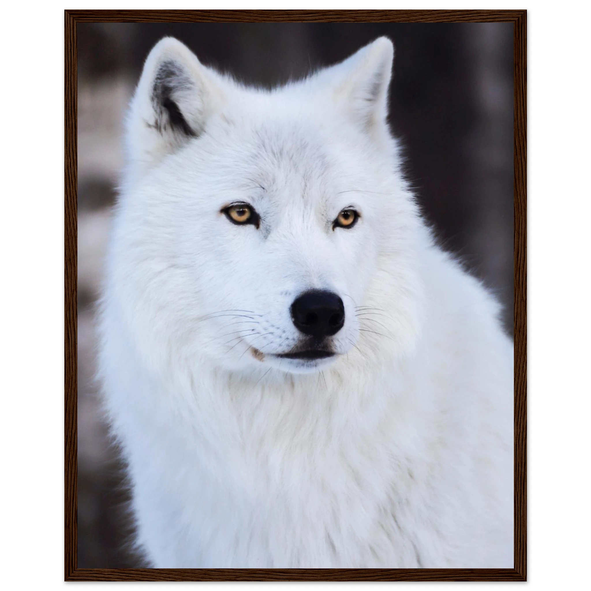 87f131d3-7225-4354-a214-f84651f7298c