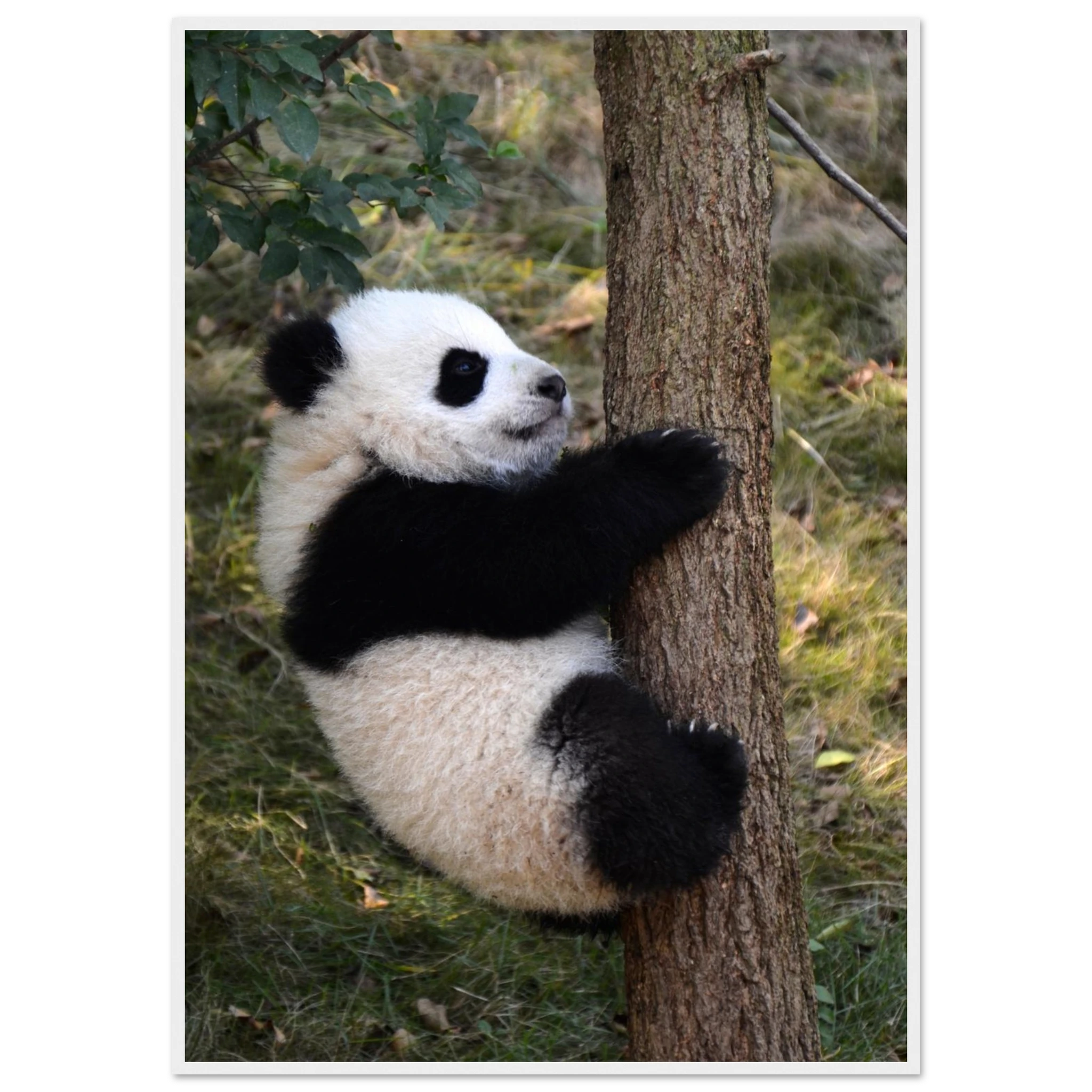 87f65779-ae52-4a3e-86ba-89823f5c3d86