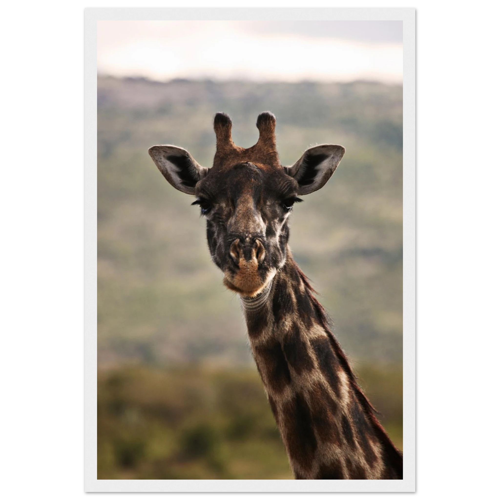 87fbd760-e998-42df-b0f7-33006313f45a