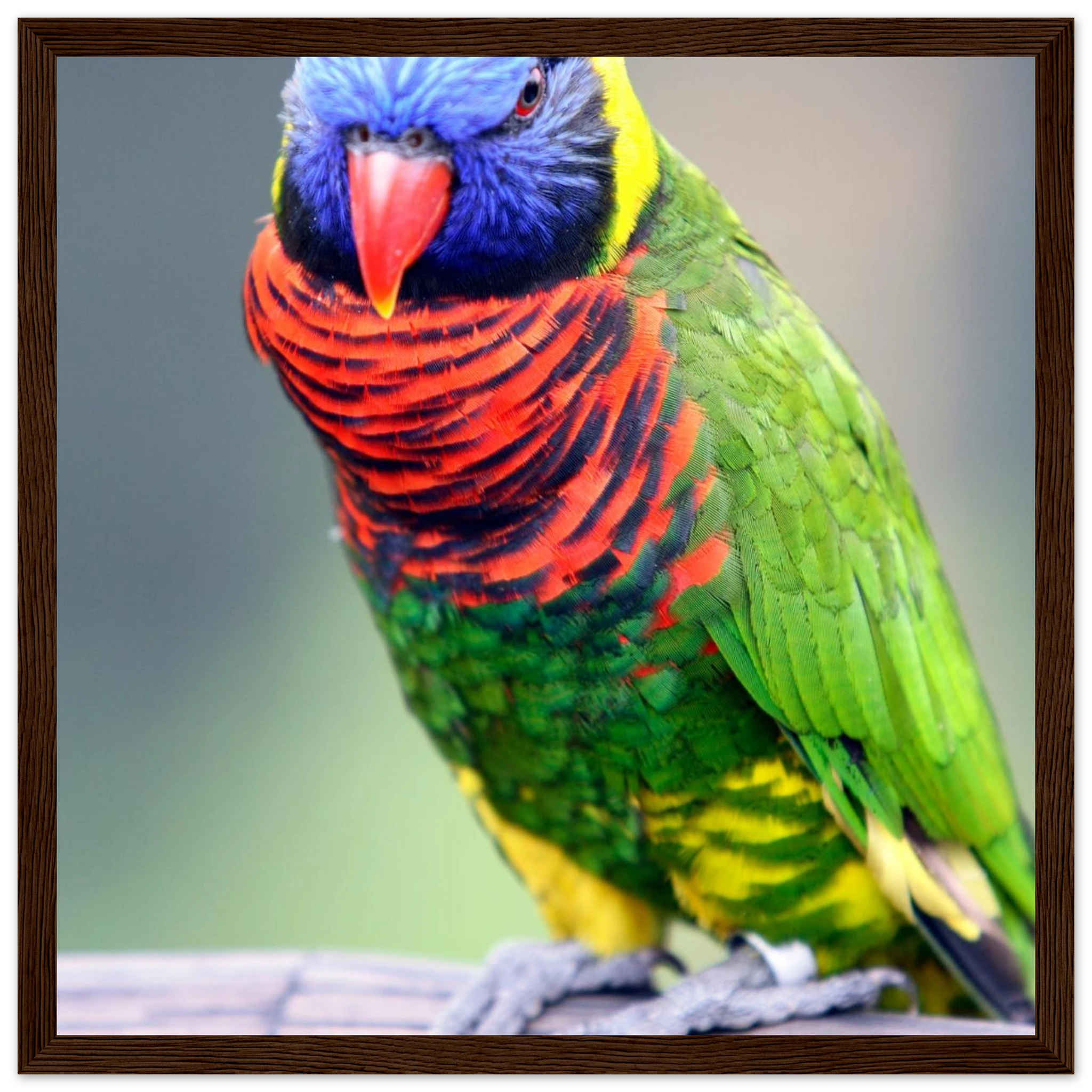 87ffc3c2-78cc-4d66-a547-9e842c2fc698