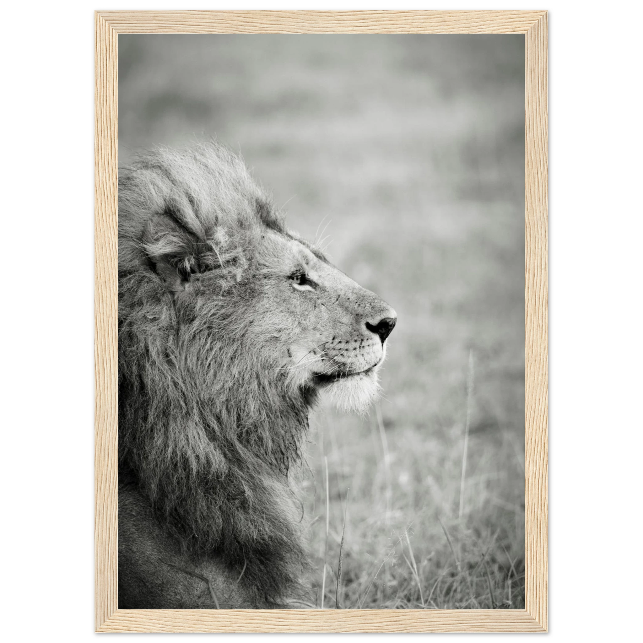 88097248-62c5-445b-a9a6-ea1e04863f74