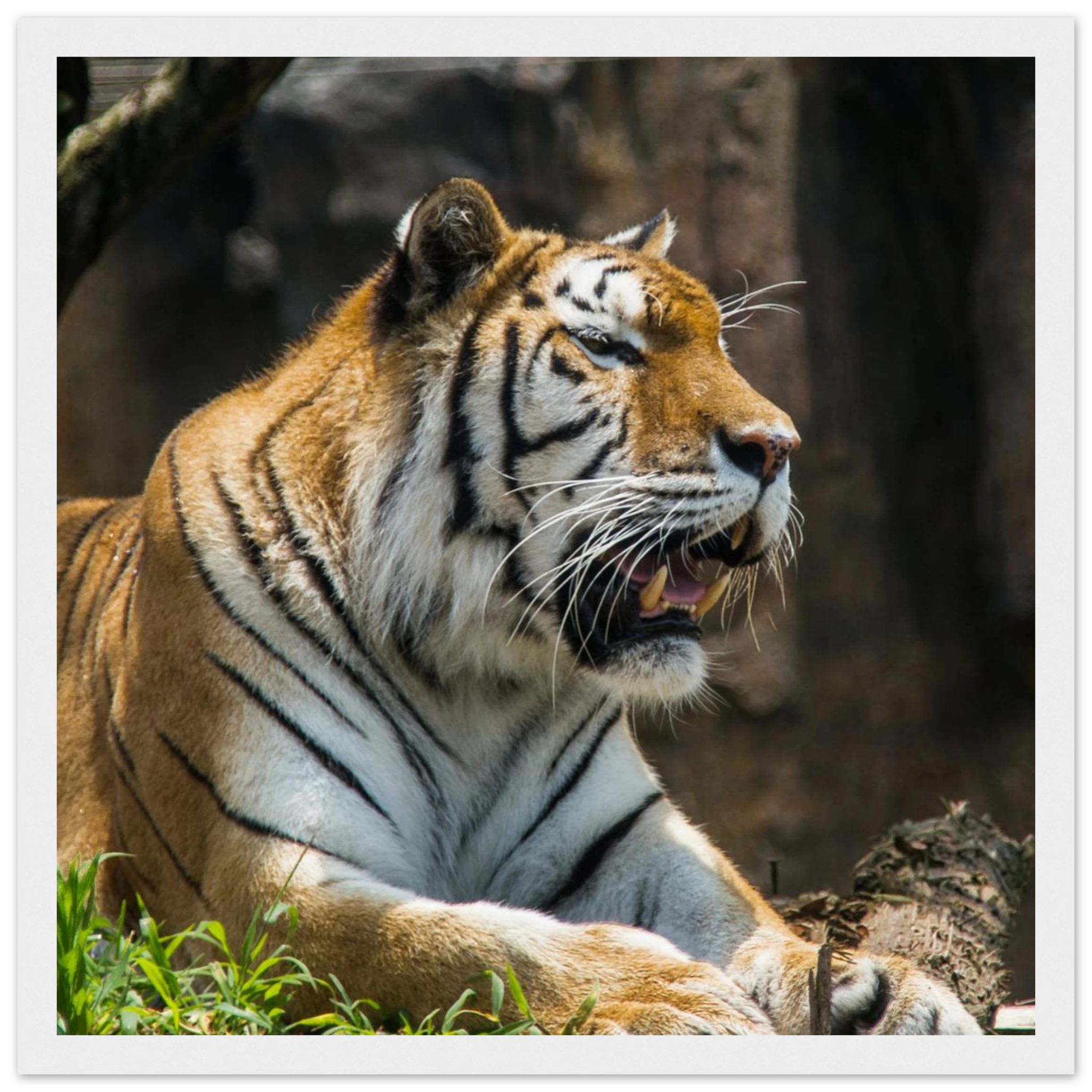 880ca595-ef17-4fe3-a083-5d2e9cfacbd2