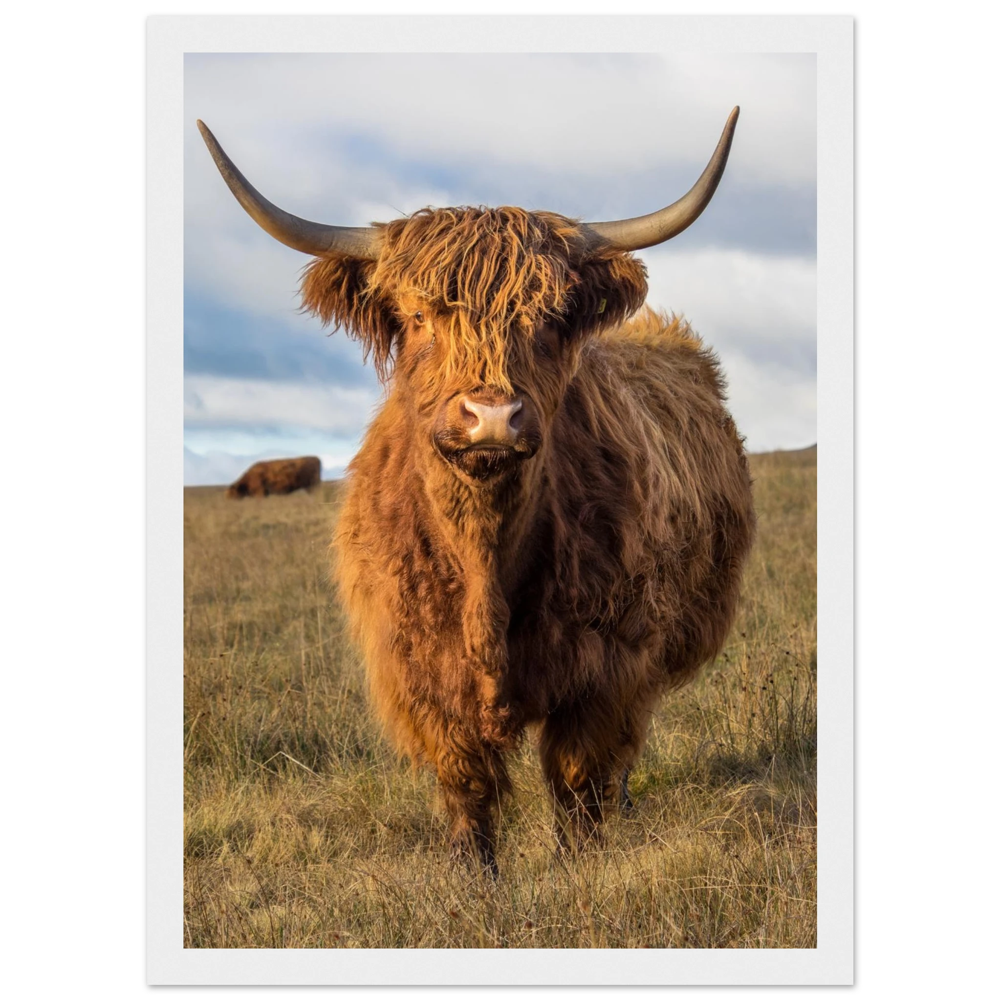 881277c5-78dc-4561-a3ab-7fa475617a09