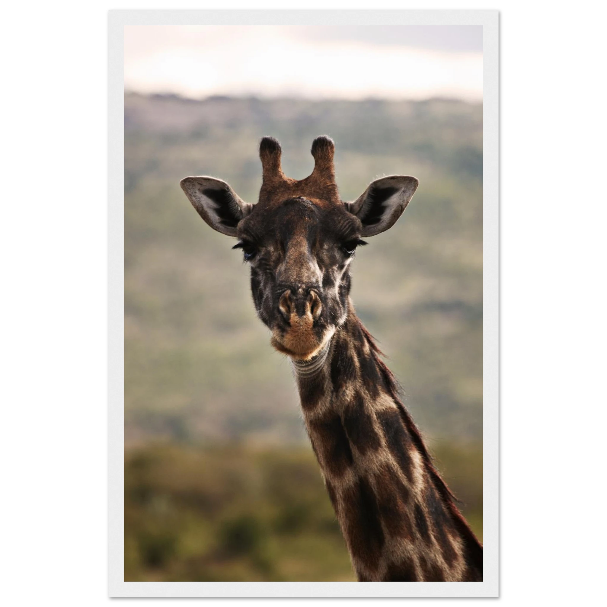 88470279-3504-4933-bb5d-badb636c4189