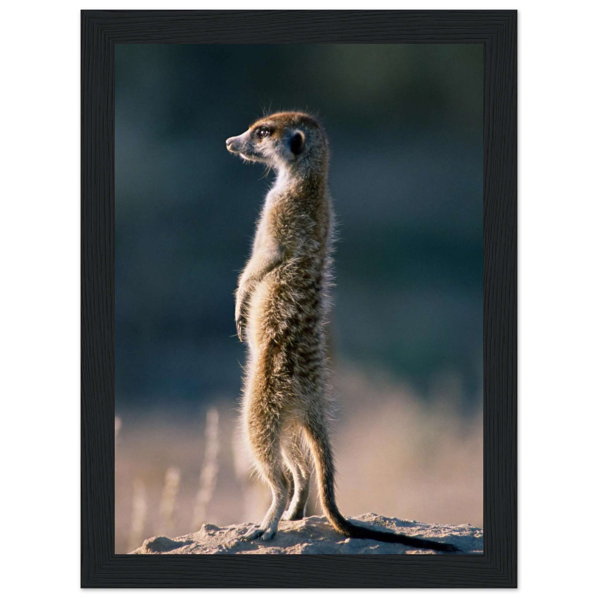 885d3330-c7fc-44a2-aab3-159c4e471e1c