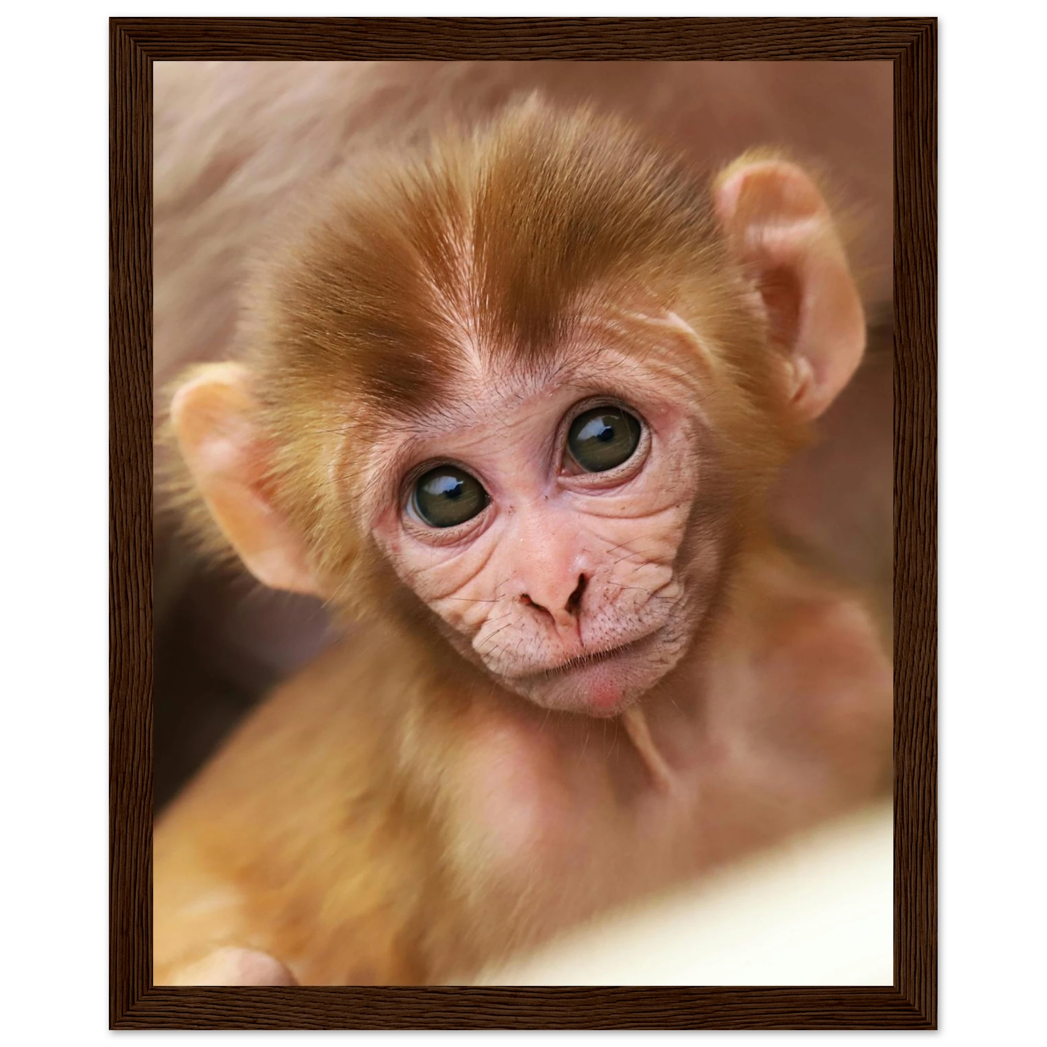 888ef060-11b1-4818-b912-034132a9e9ba