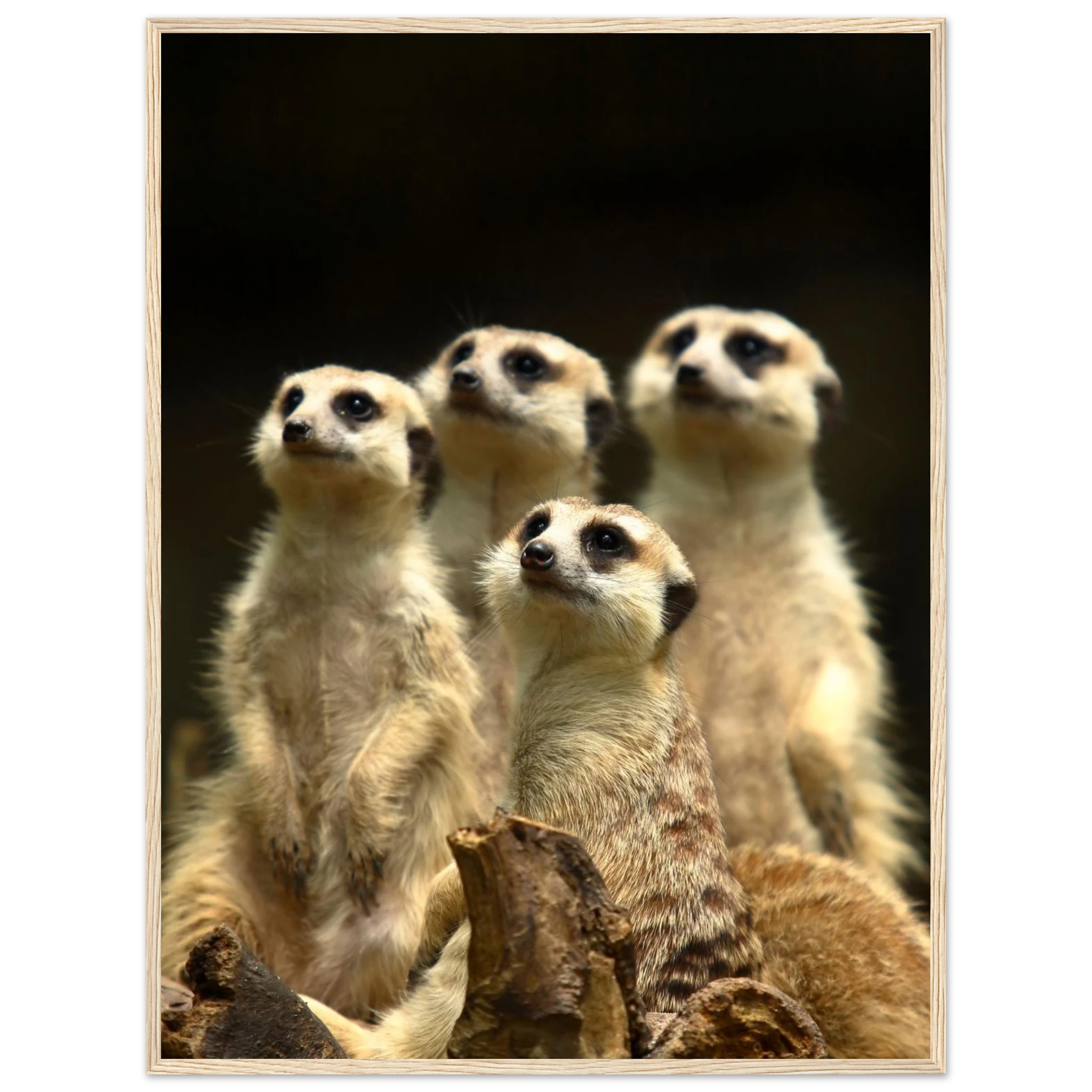 88a3d1d1-96d0-4e0d-bd59-1e5467e32852