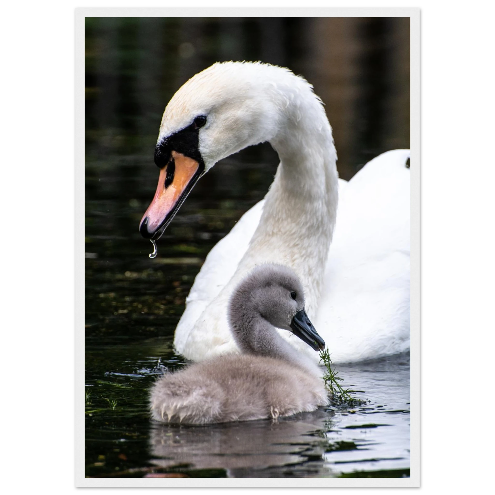 88ae8242-9843-4288-b86f-5b9d22bfdfa0