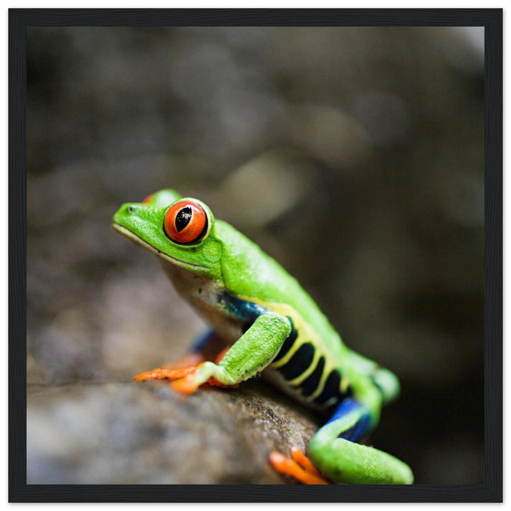 88d13129-1b1a-4efe-9699-dc20aa88ec7f