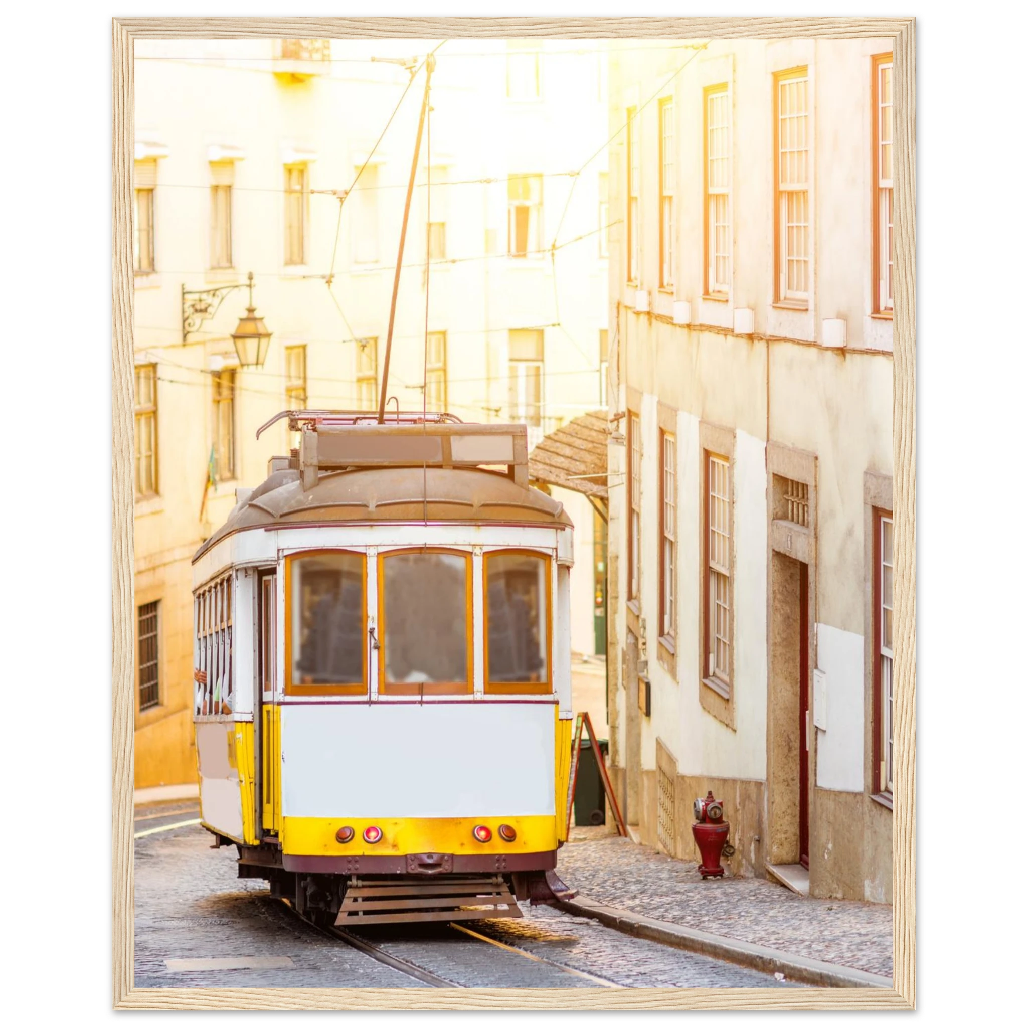 88d8c9f5-3adc-4b55-812a-616fb8b1621e