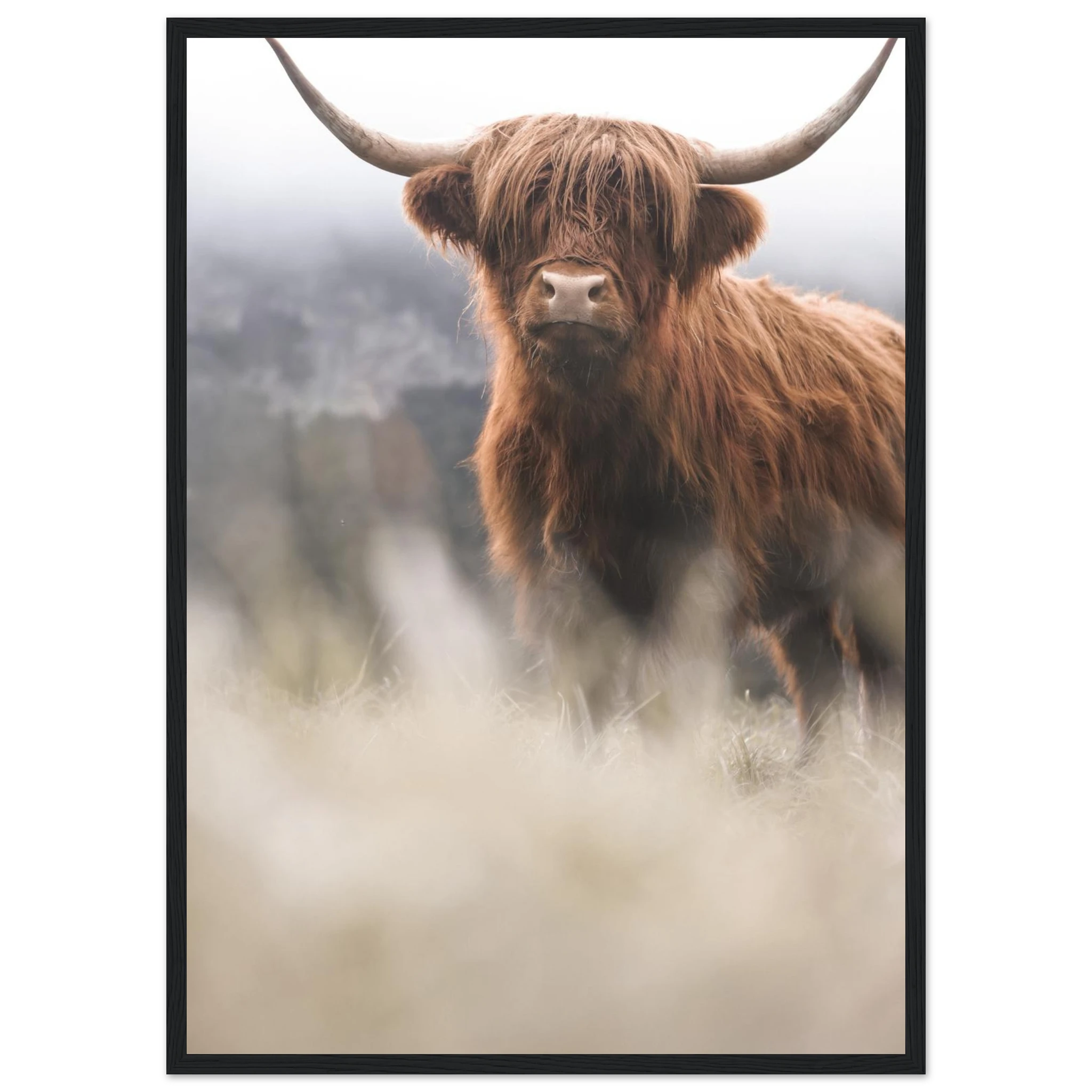 88fa81fb-1a16-45bb-b92e-f575e856932a