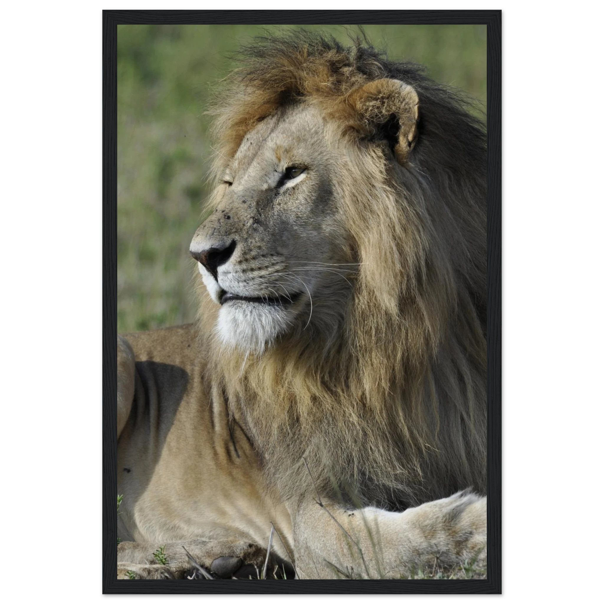 89195413-ff13-48cd-823e-7655067c04d3