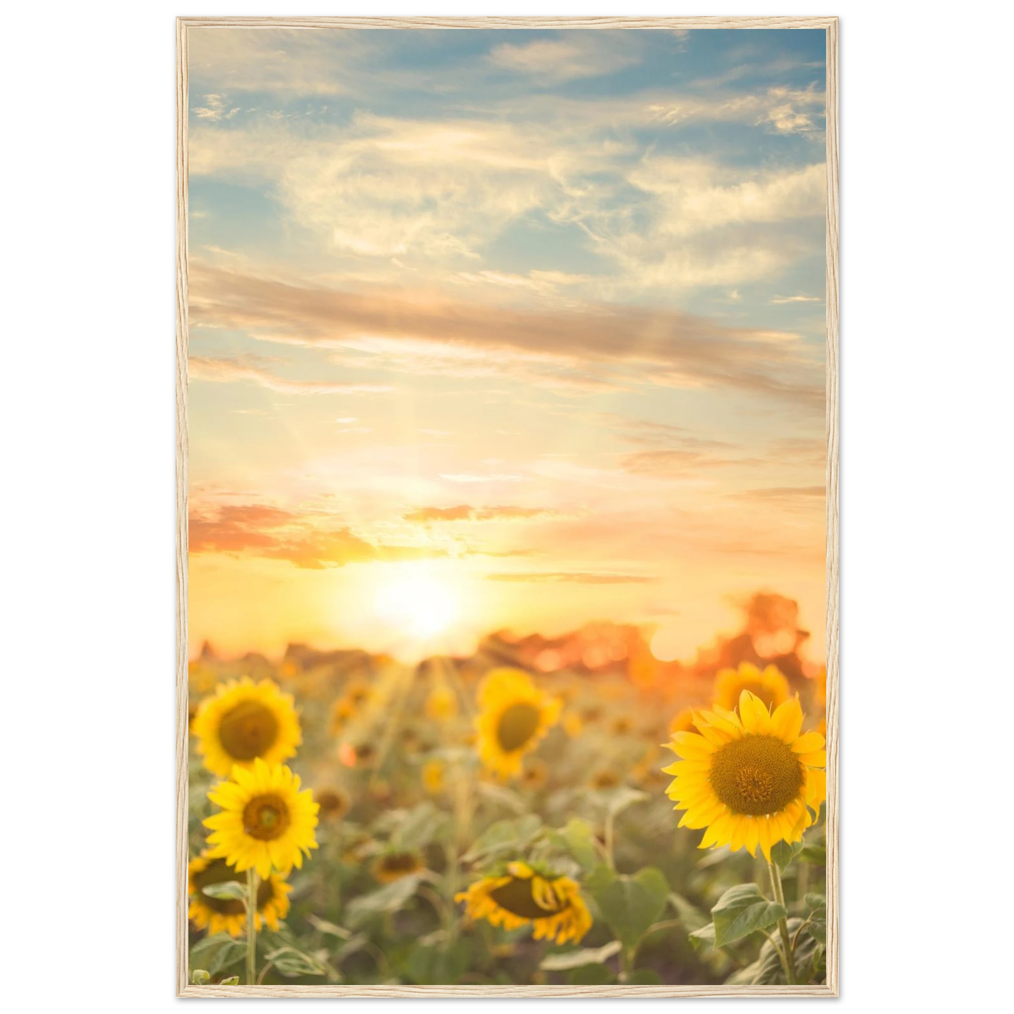 8957b216-125f-4487-9a78-610c18c1beb7