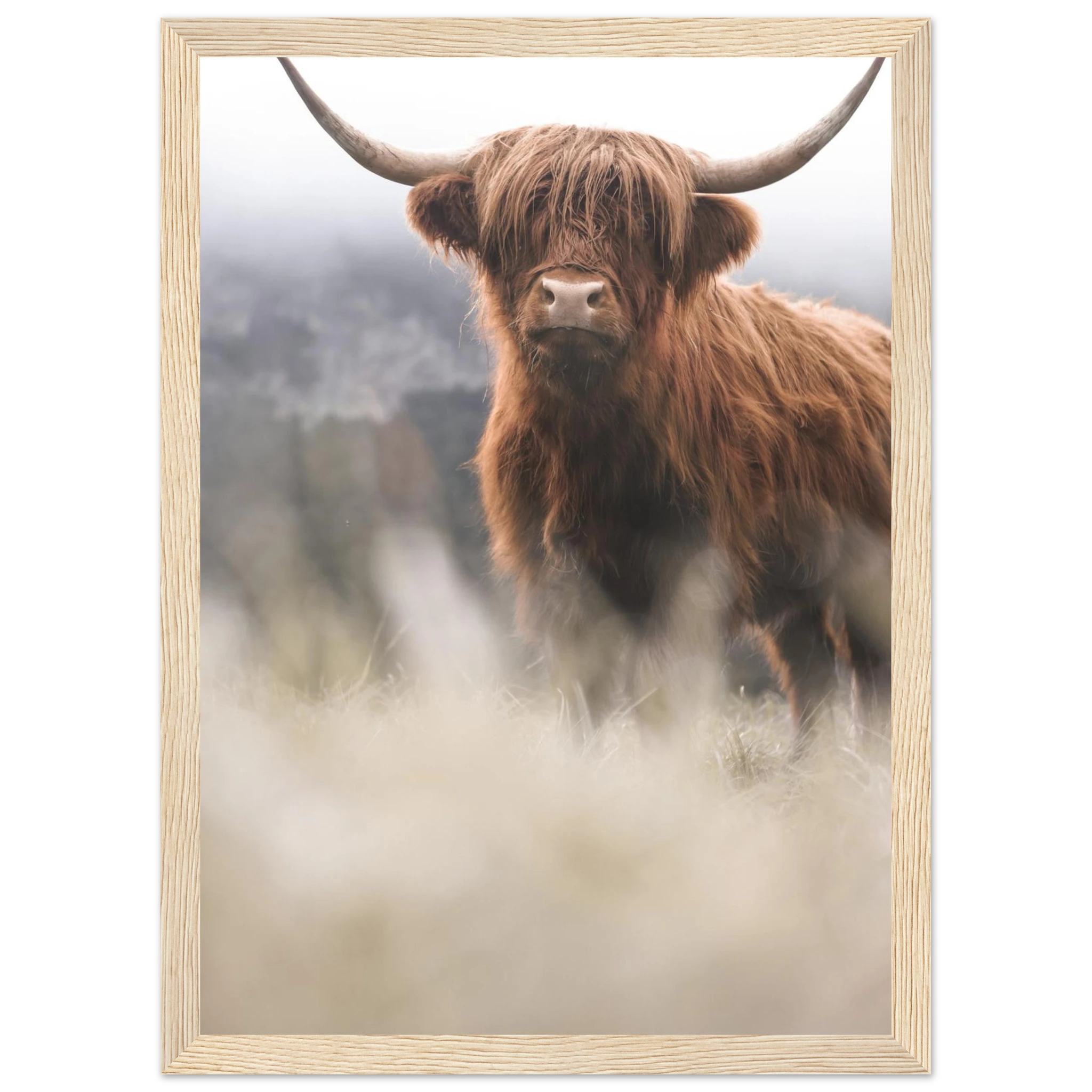 895ee85f-9efb-47f8-857d-4be32fa178bb