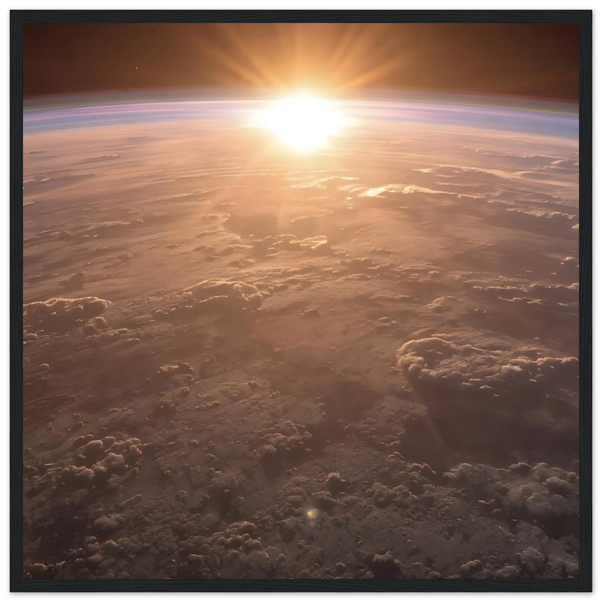 896e46e5-bbd2-4566-89c9-1e2302a42572