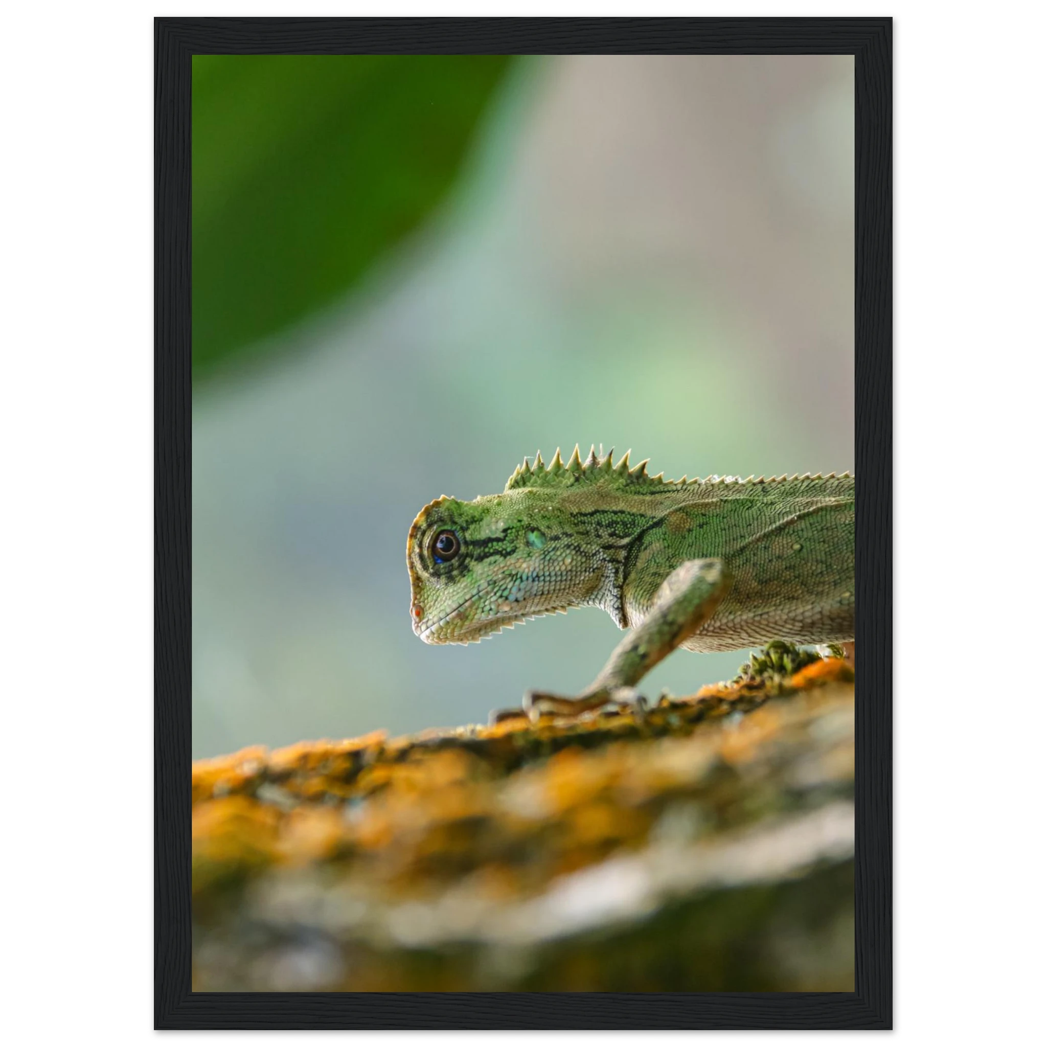 896f12e1-e0a2-495d-aa71-8de8d26aa227