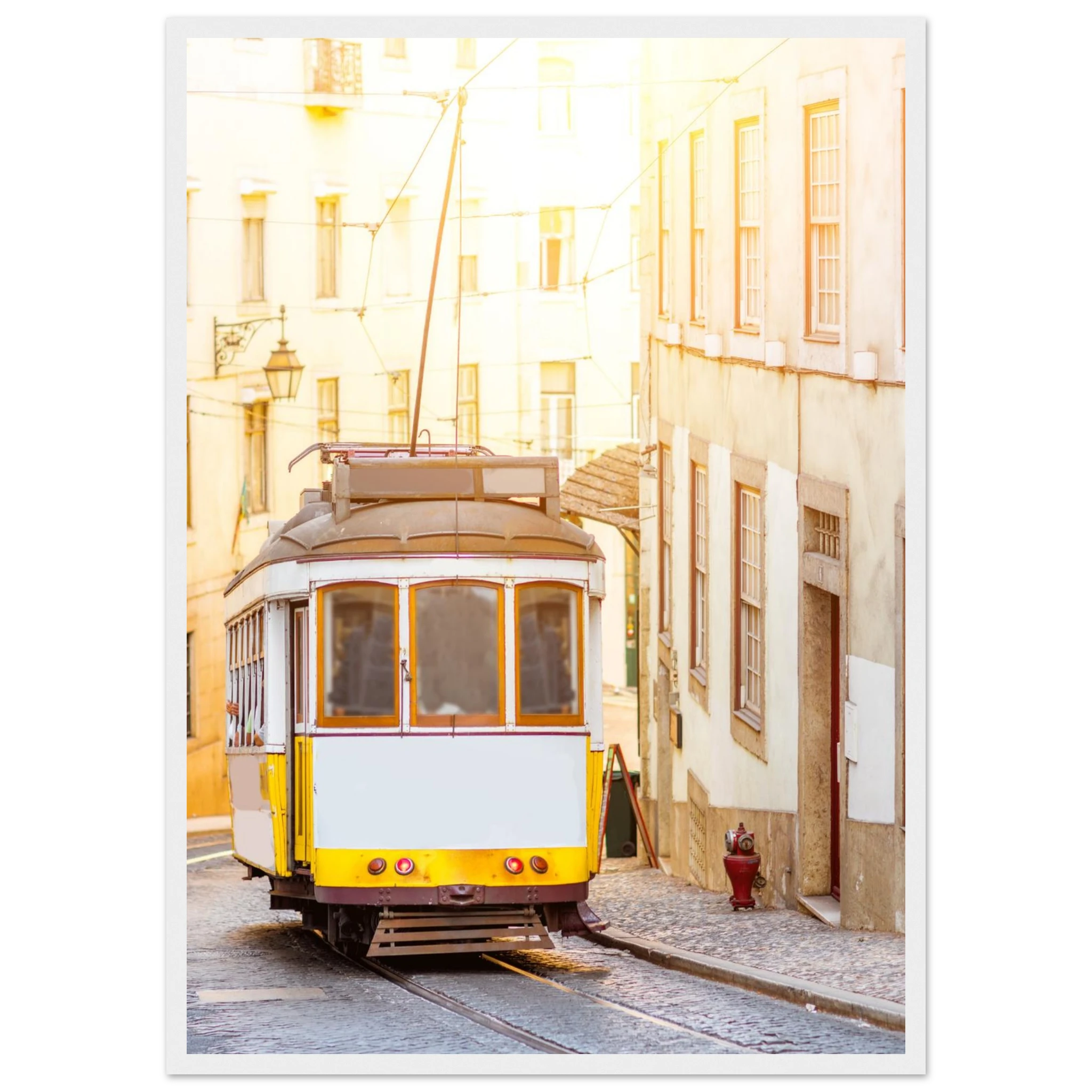 897b3652-4f82-4dc7-9a13-beb344b9d231