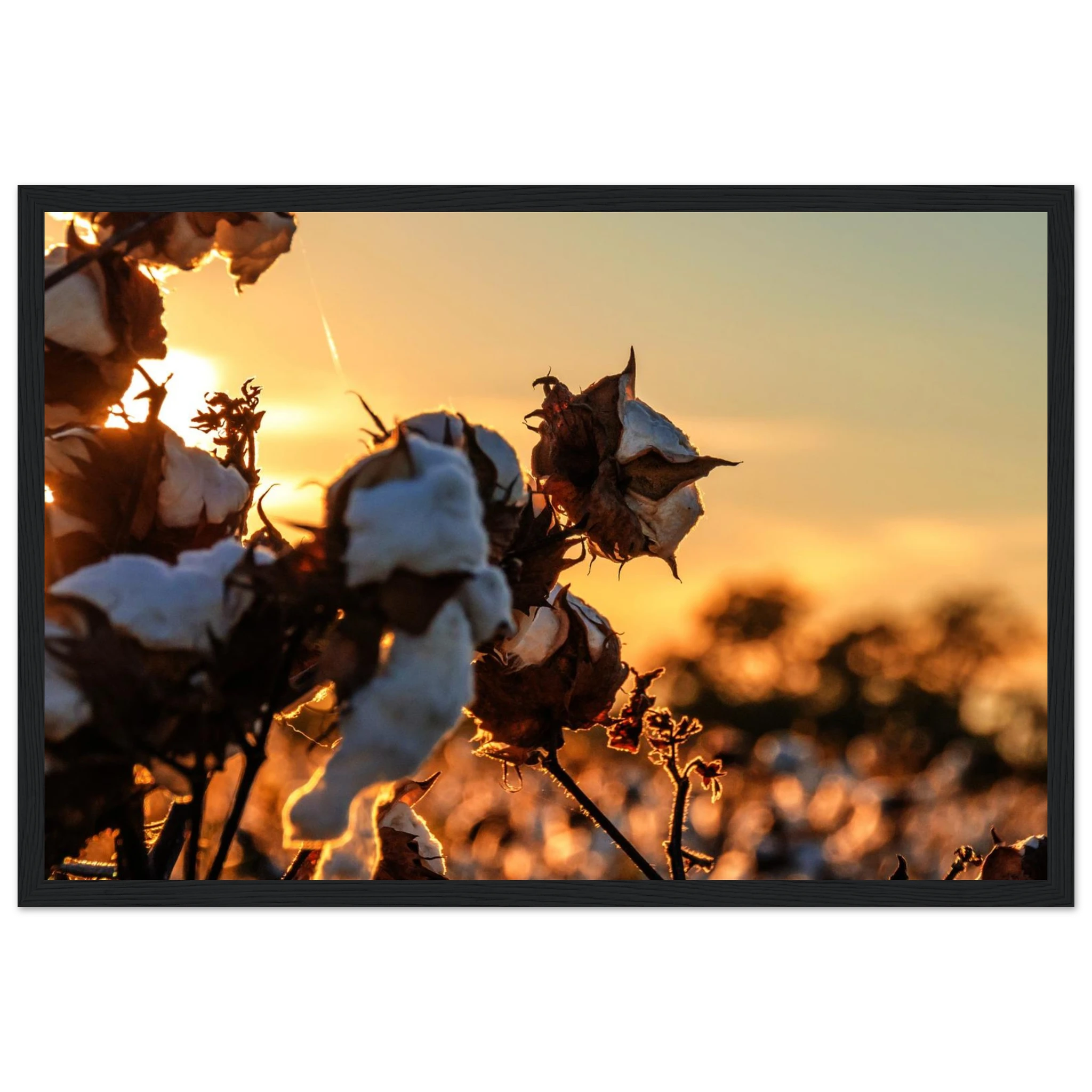 897cb627-b8bb-4061-9e93-0707b4b14ca1