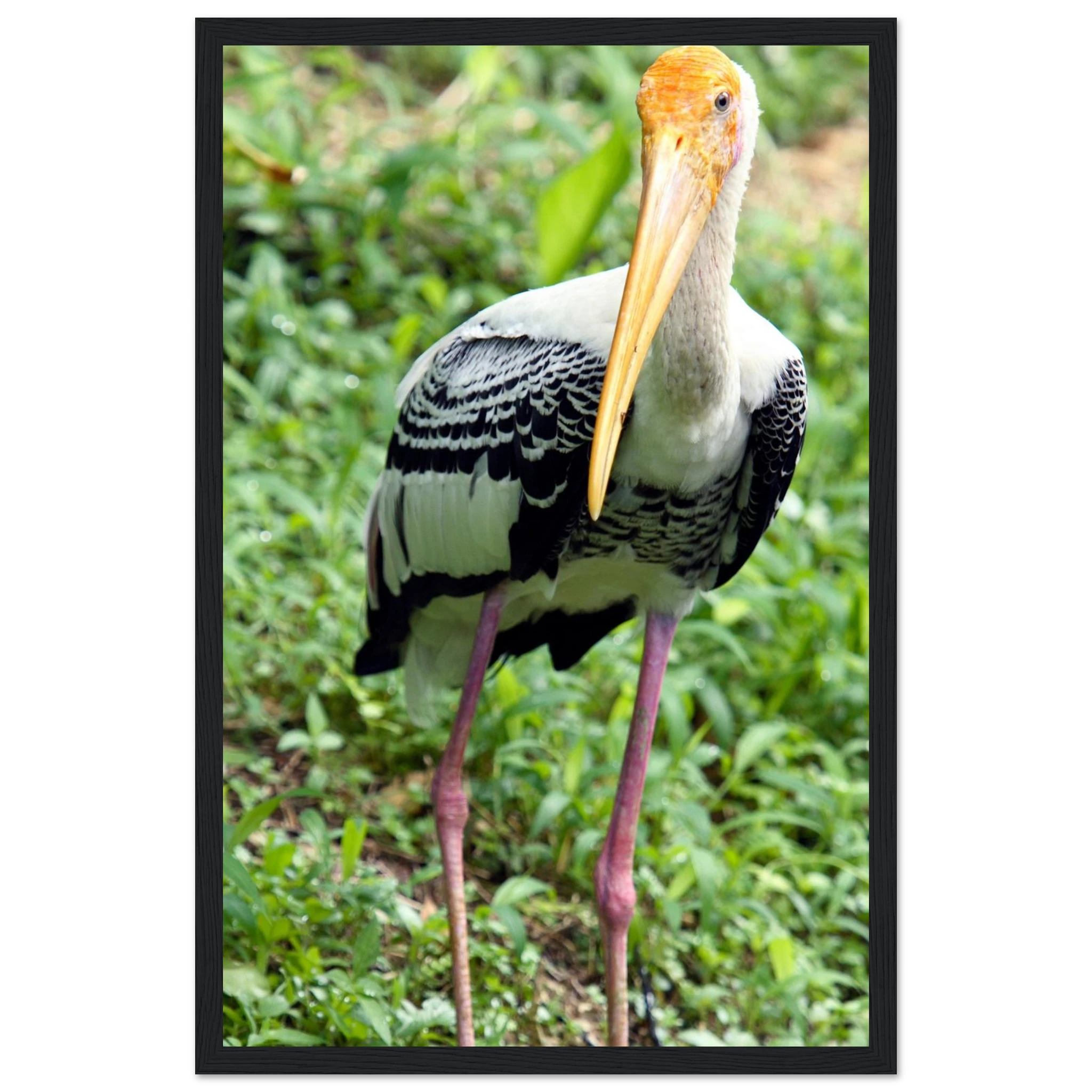 899246f1-aaee-4b98-accb-8aee52073c23