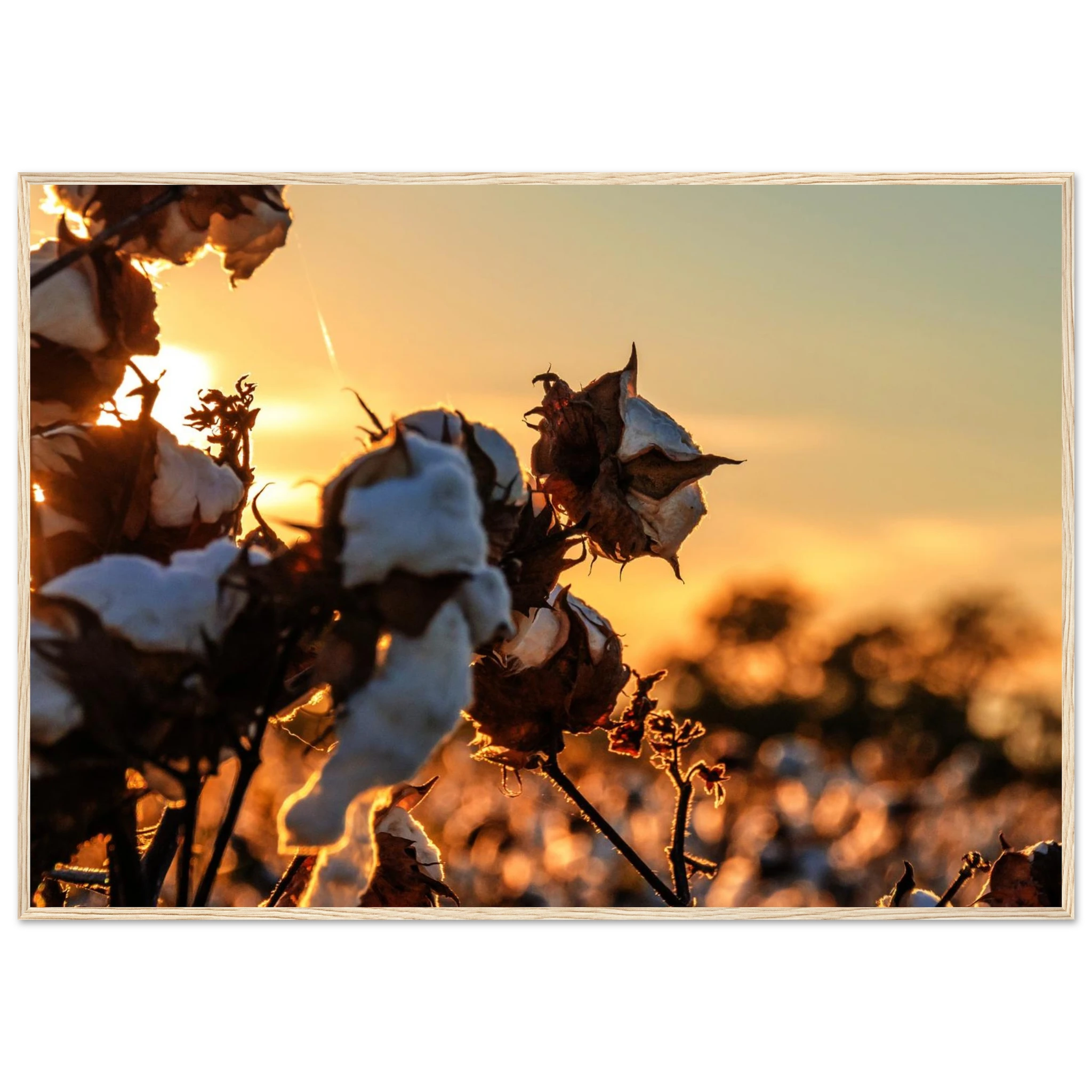 899a3d41-1525-407e-893f-2e87ac2ad371