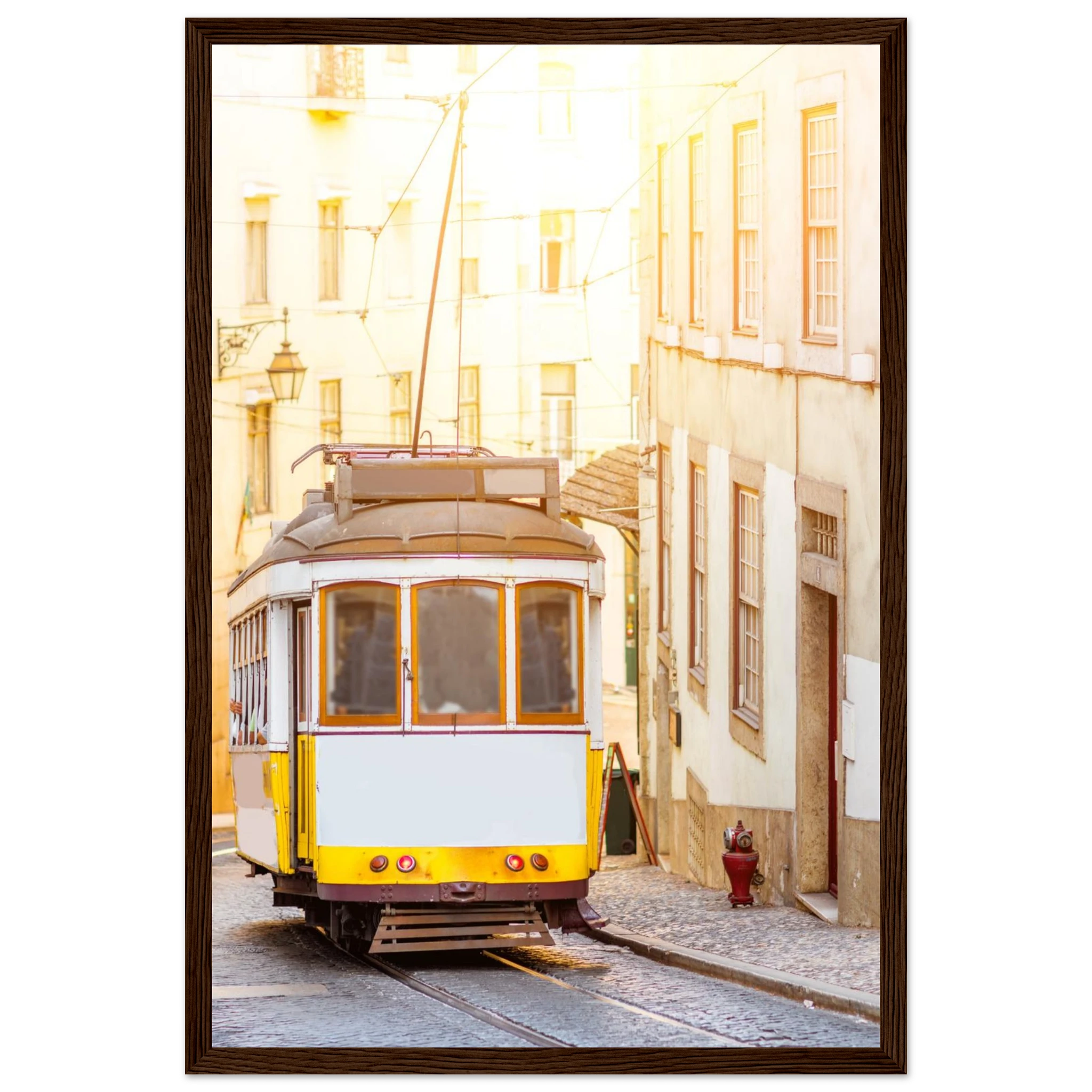 89a59765-ce0e-4295-9035-8d06cc93c346