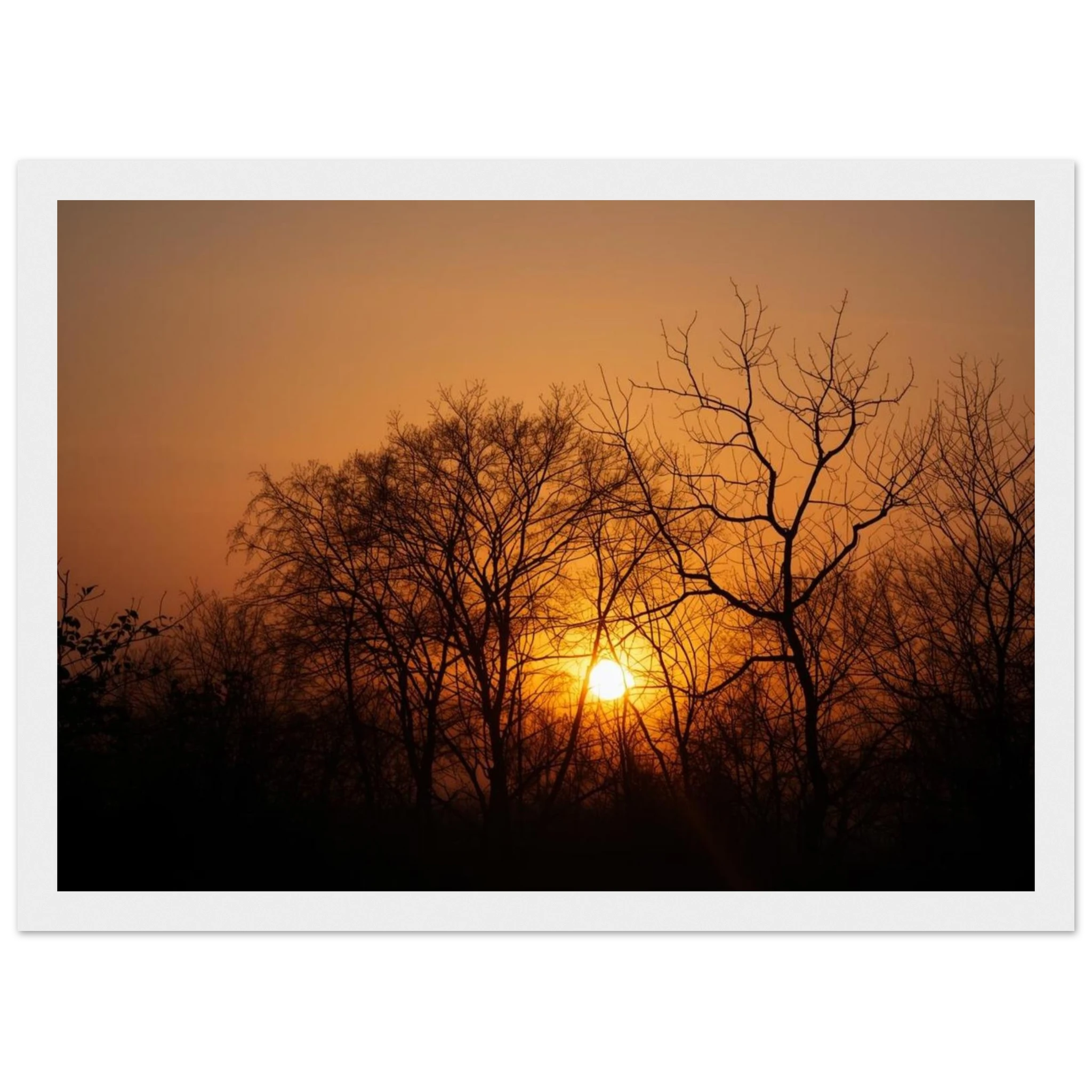 89a60059-bc83-4fea-821e-92f0bdca3010