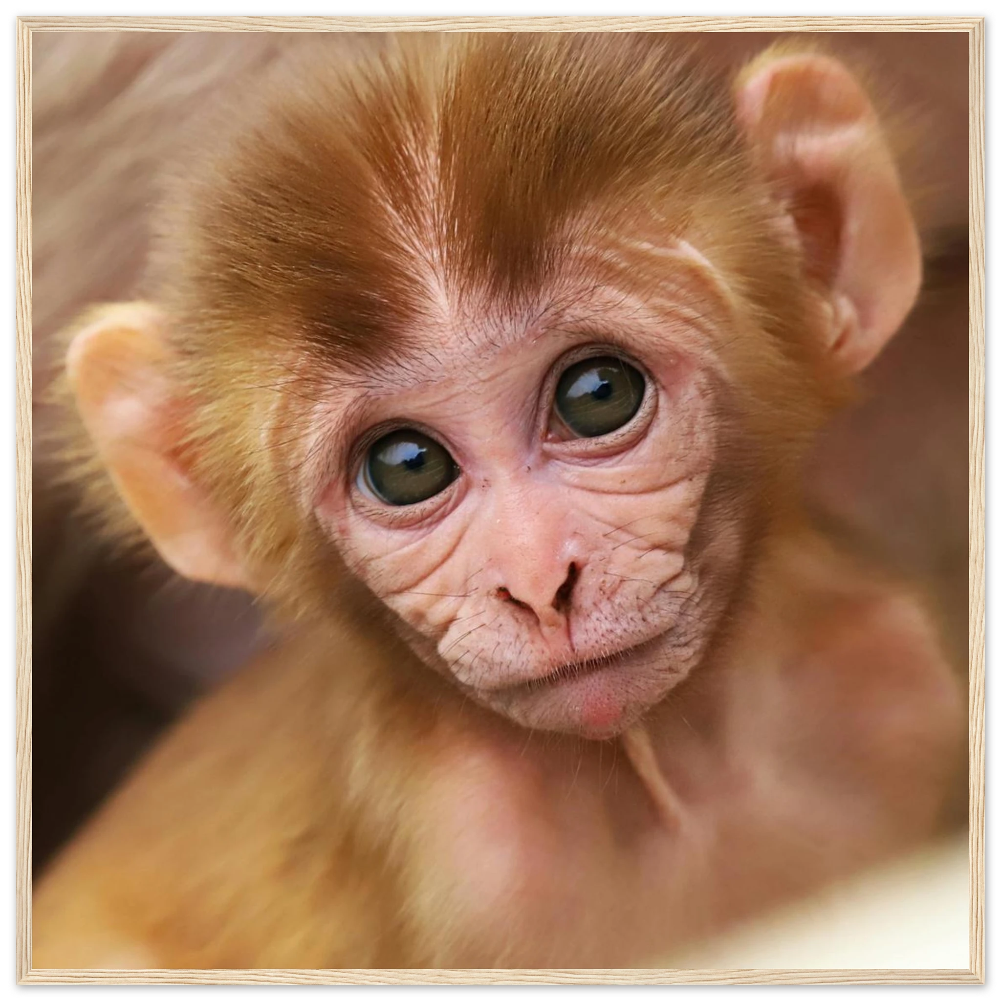 89ad1454-c314-4d17-b595-955542c93d31