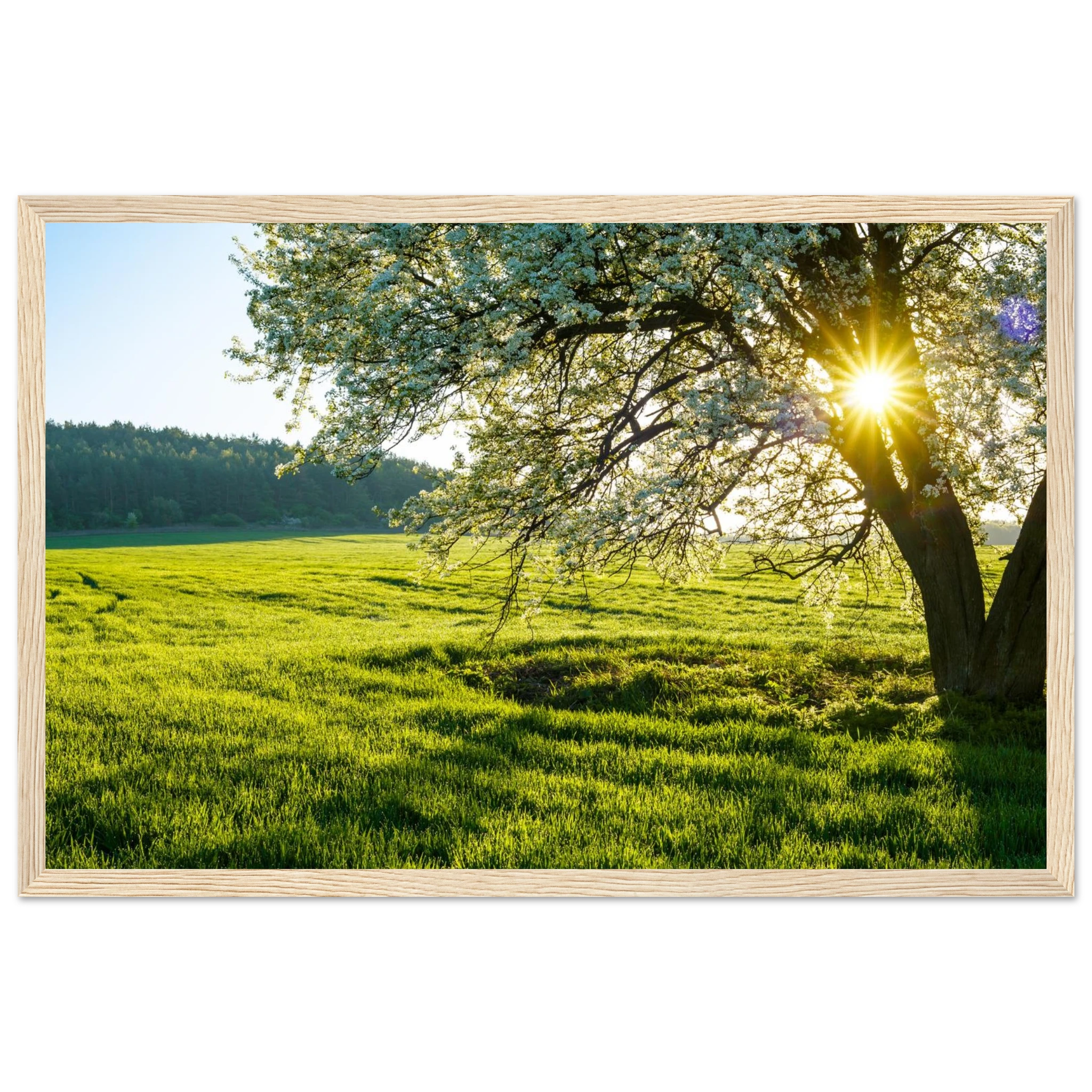 89af03bb-8e53-426b-b66a-c038afc8e106