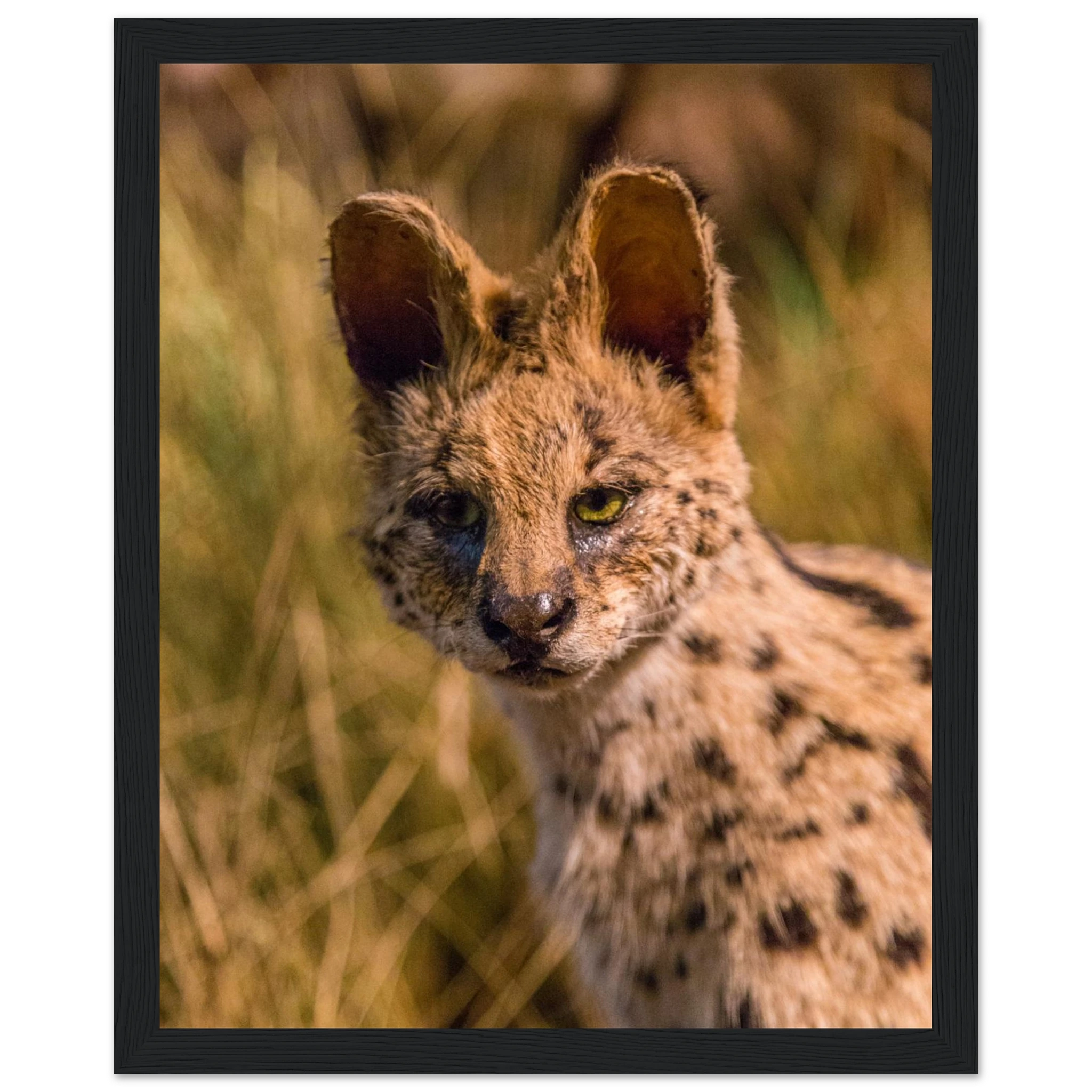 89ca5fbb-8e32-449d-879b-3e5428eaca1e