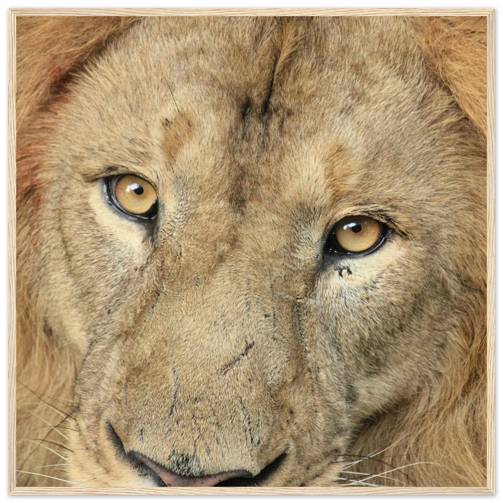 89d8cfb2-01b8-495c-996a-4db4794c1779