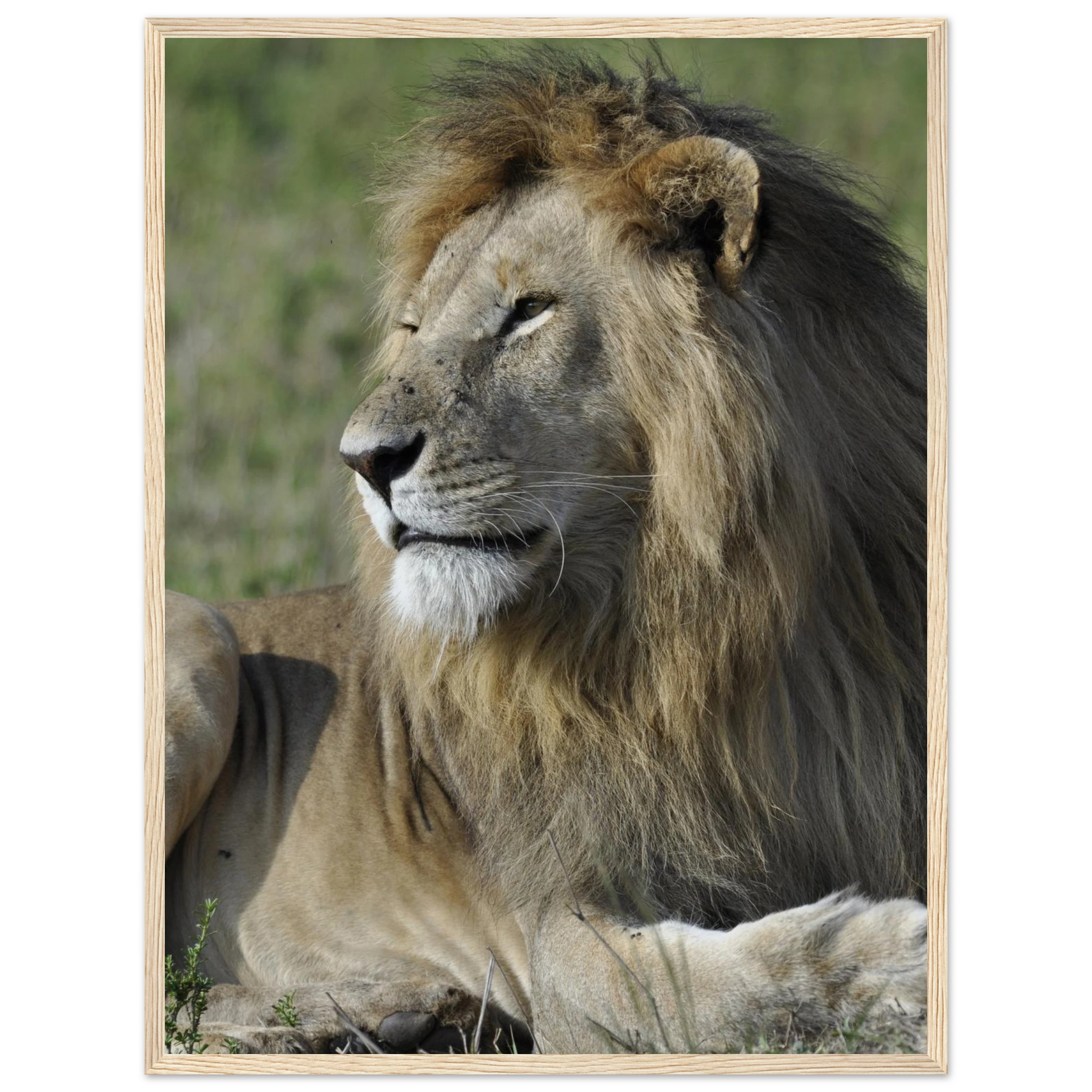 89ef228a-aeff-418f-9235-70dea9376ed3