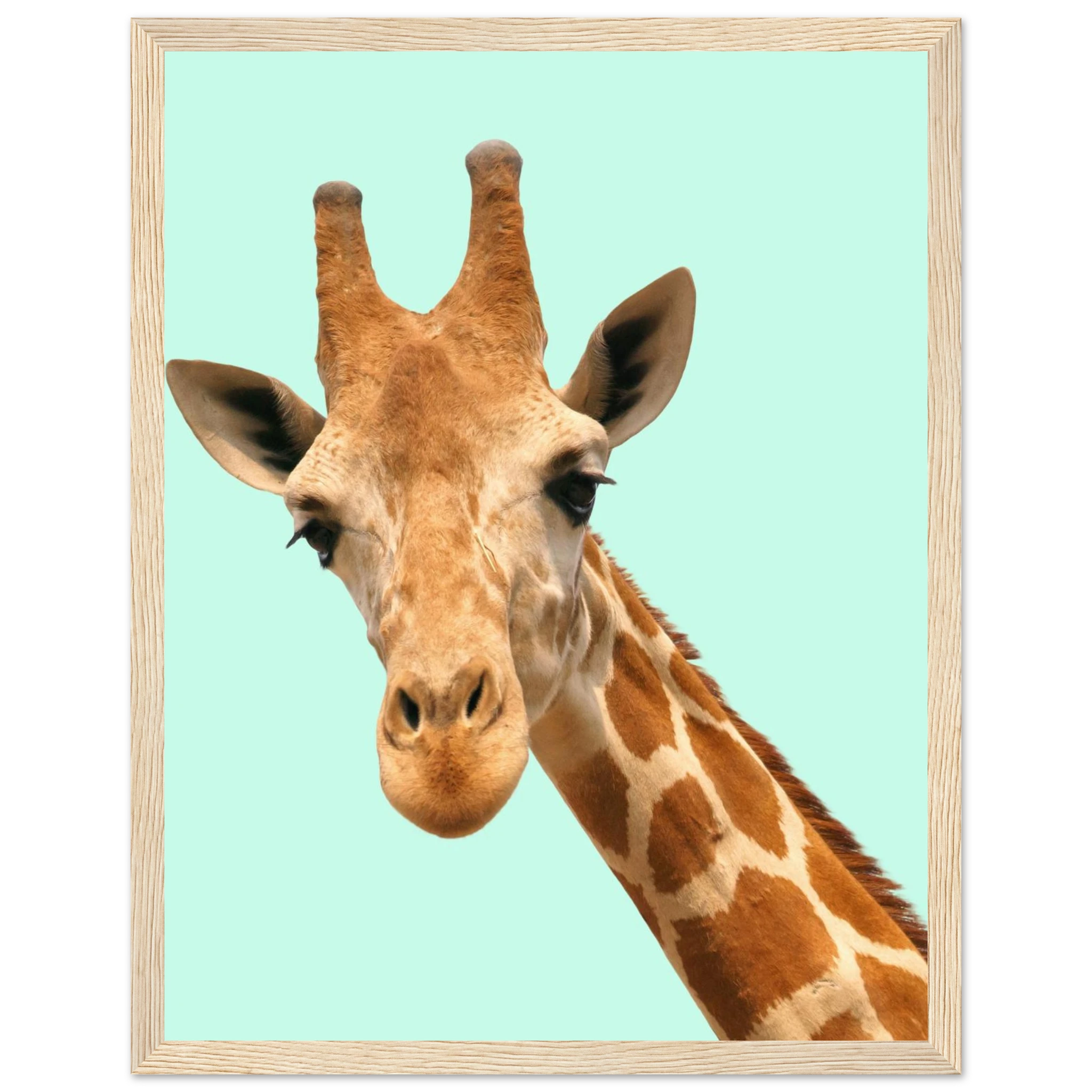 8a02d334-ccd4-4bc2-b0f8-191f4cb9ecdf