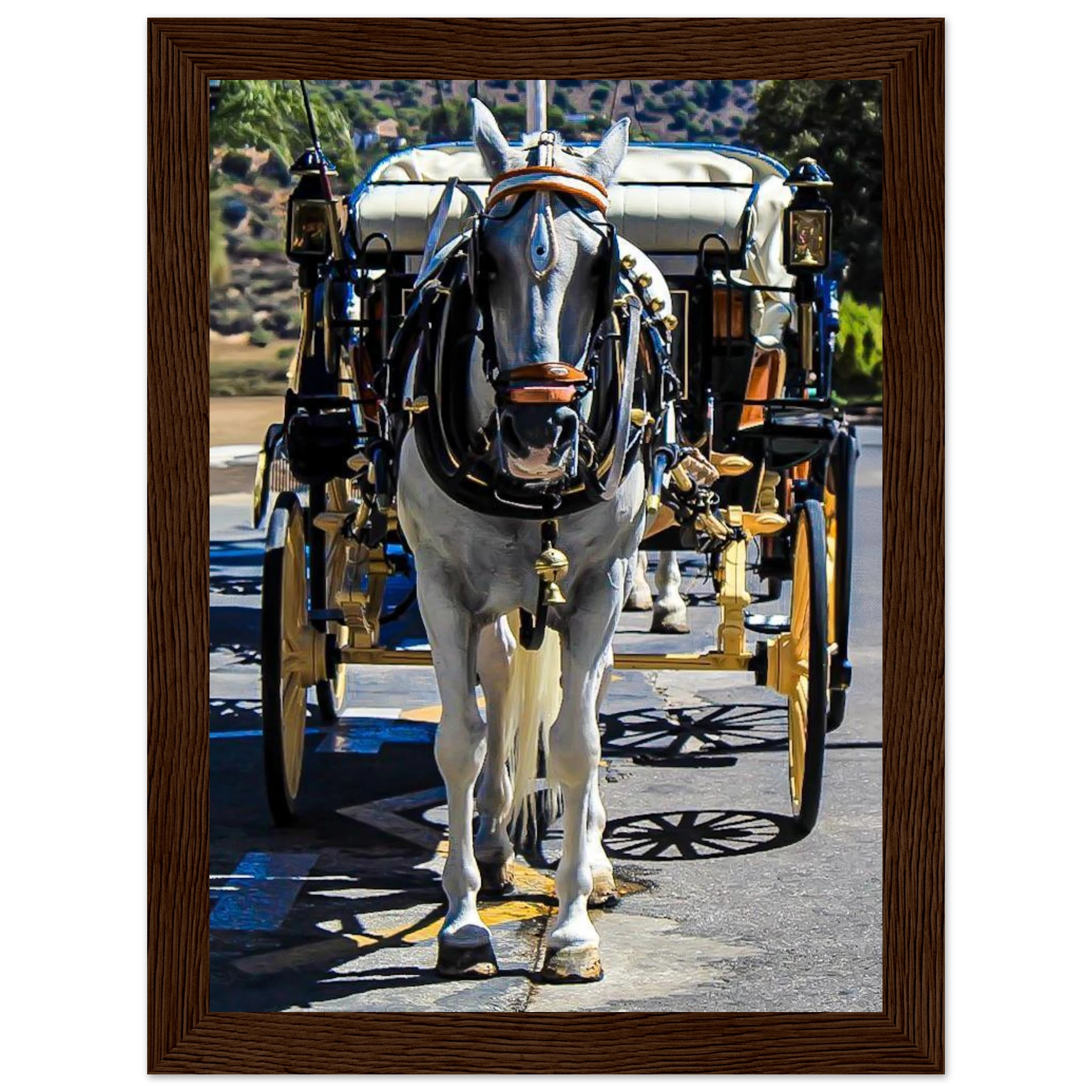 8a20bfa2-fc76-42f8-b898-dbe7e78e16ec