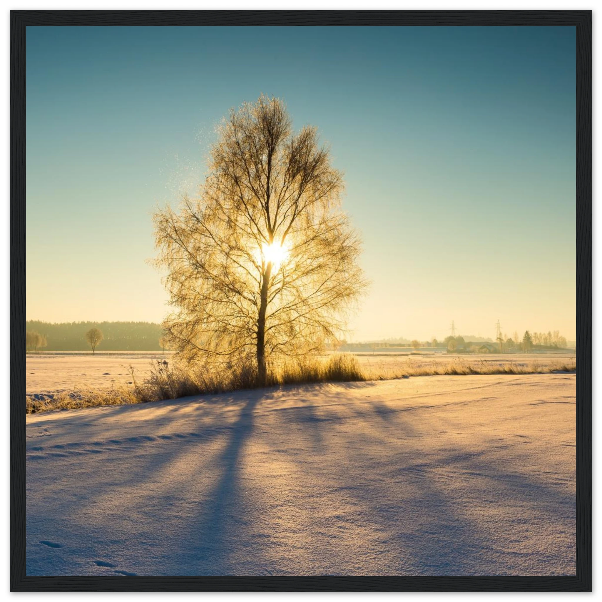 8a2f9add-ce29-4944-9d58-5cabbe1f3af9