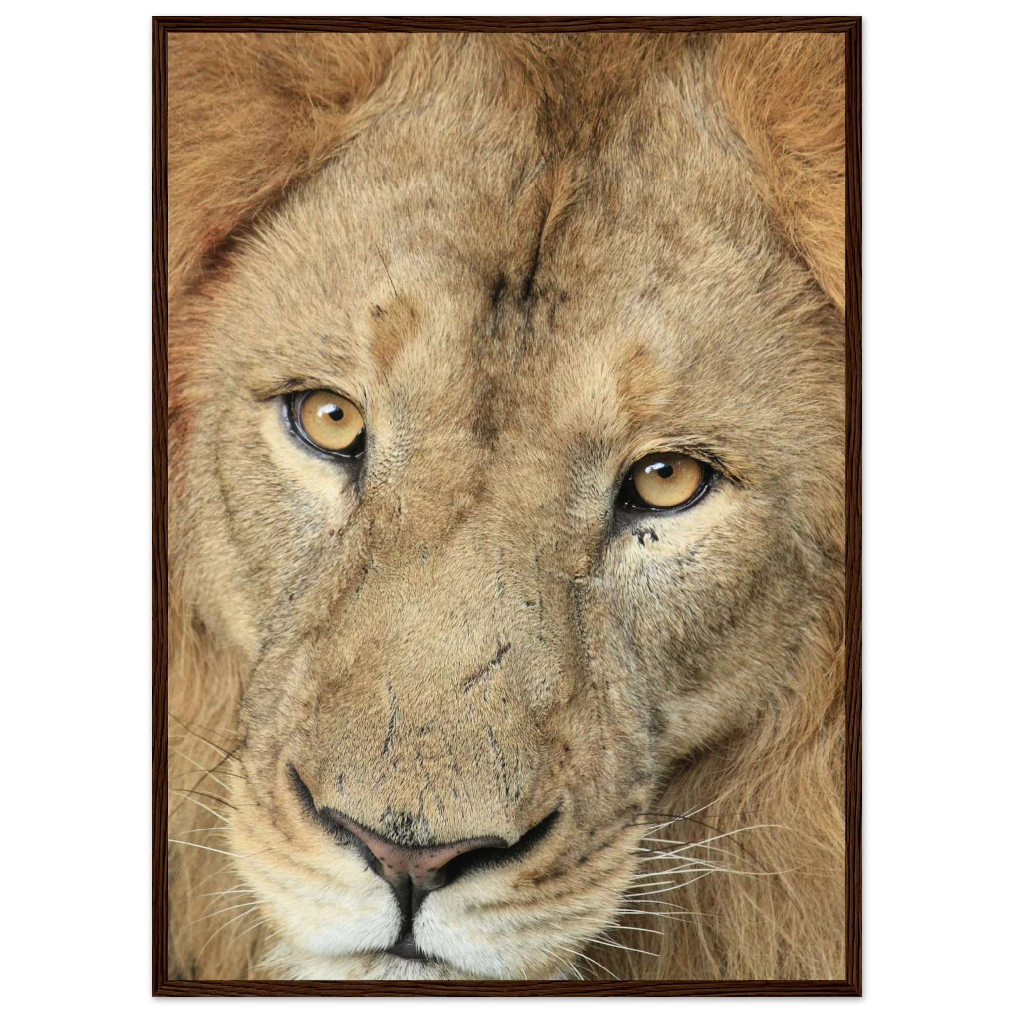 8a44f6e4-e70a-4d62-be27-ba4511afa76f