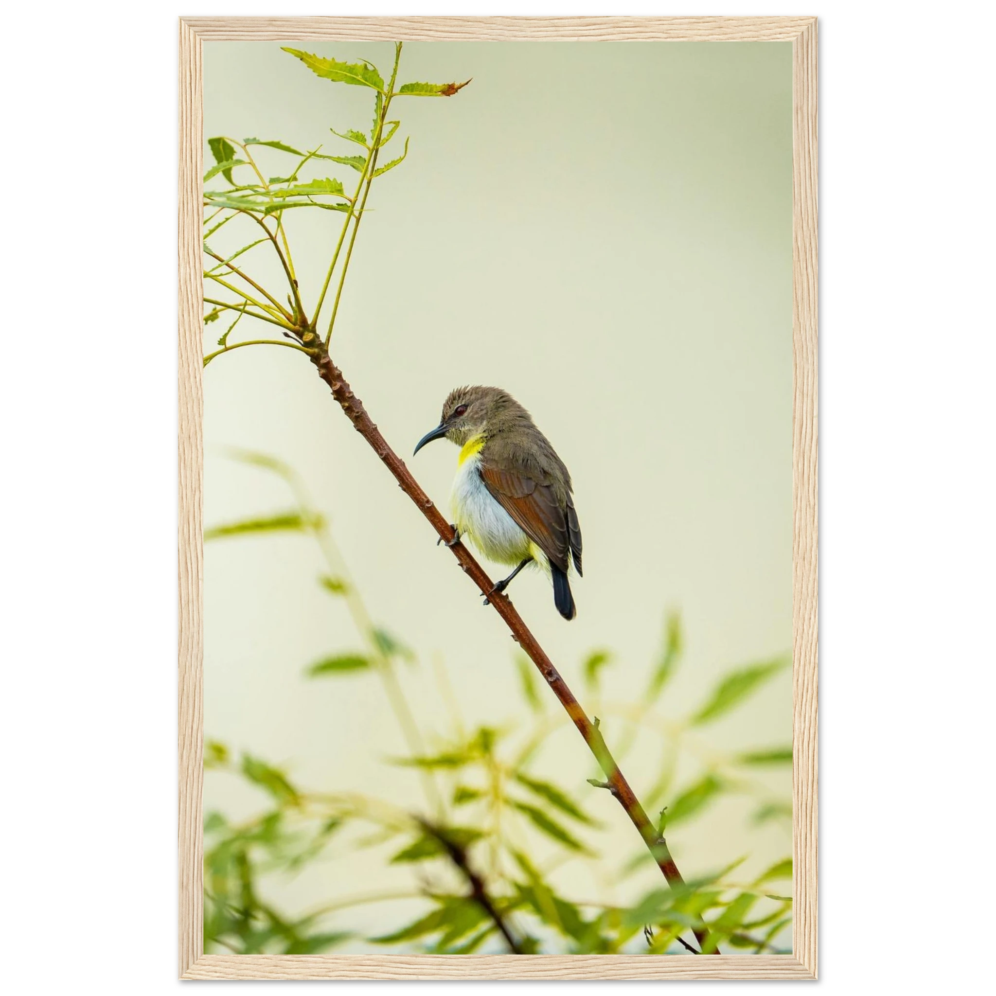 8a45fa64-0447-4518-a09a-79366f532190