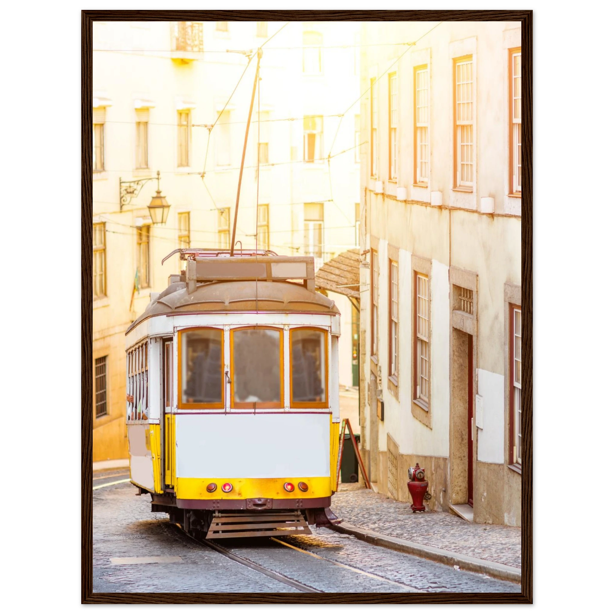 8a47e011-62af-4350-a986-fa88f8f93560