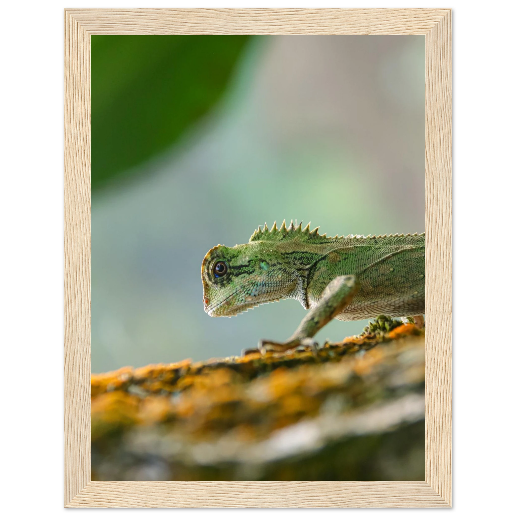 8a8dd27e-1750-4ea2-b9f4-80dd3a5c7945