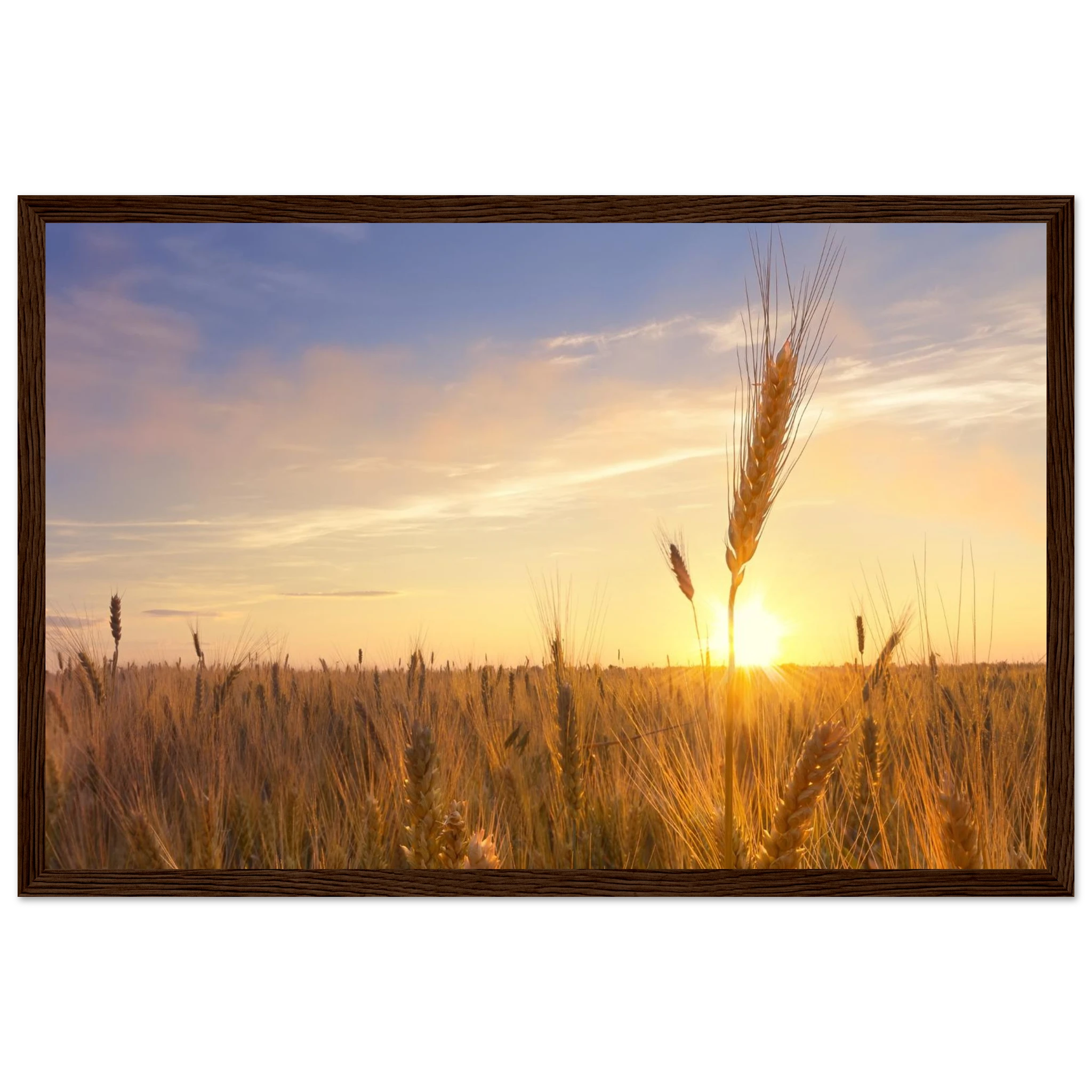 8a92ab93-4a11-414b-85cc-76c6deff03df