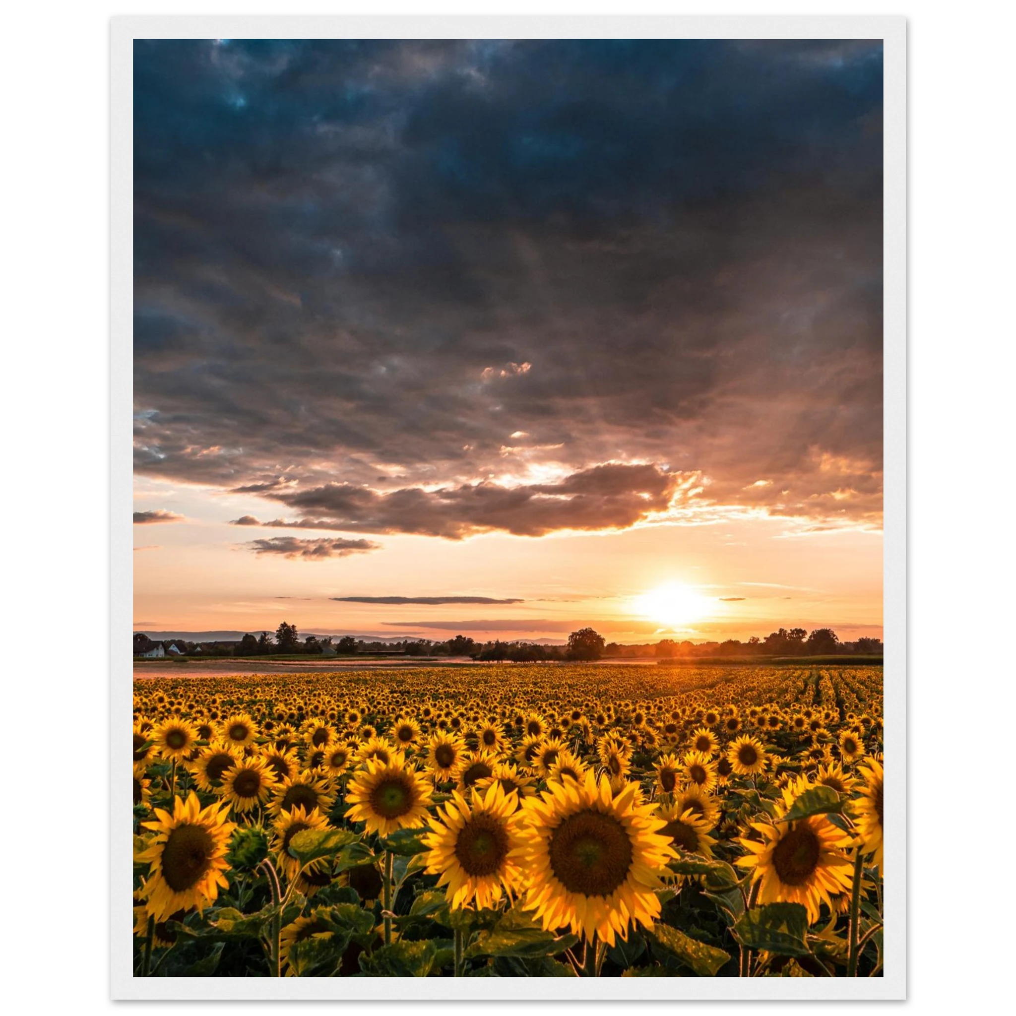 8a9c896d-2df4-4433-bb6c-36483c070b42