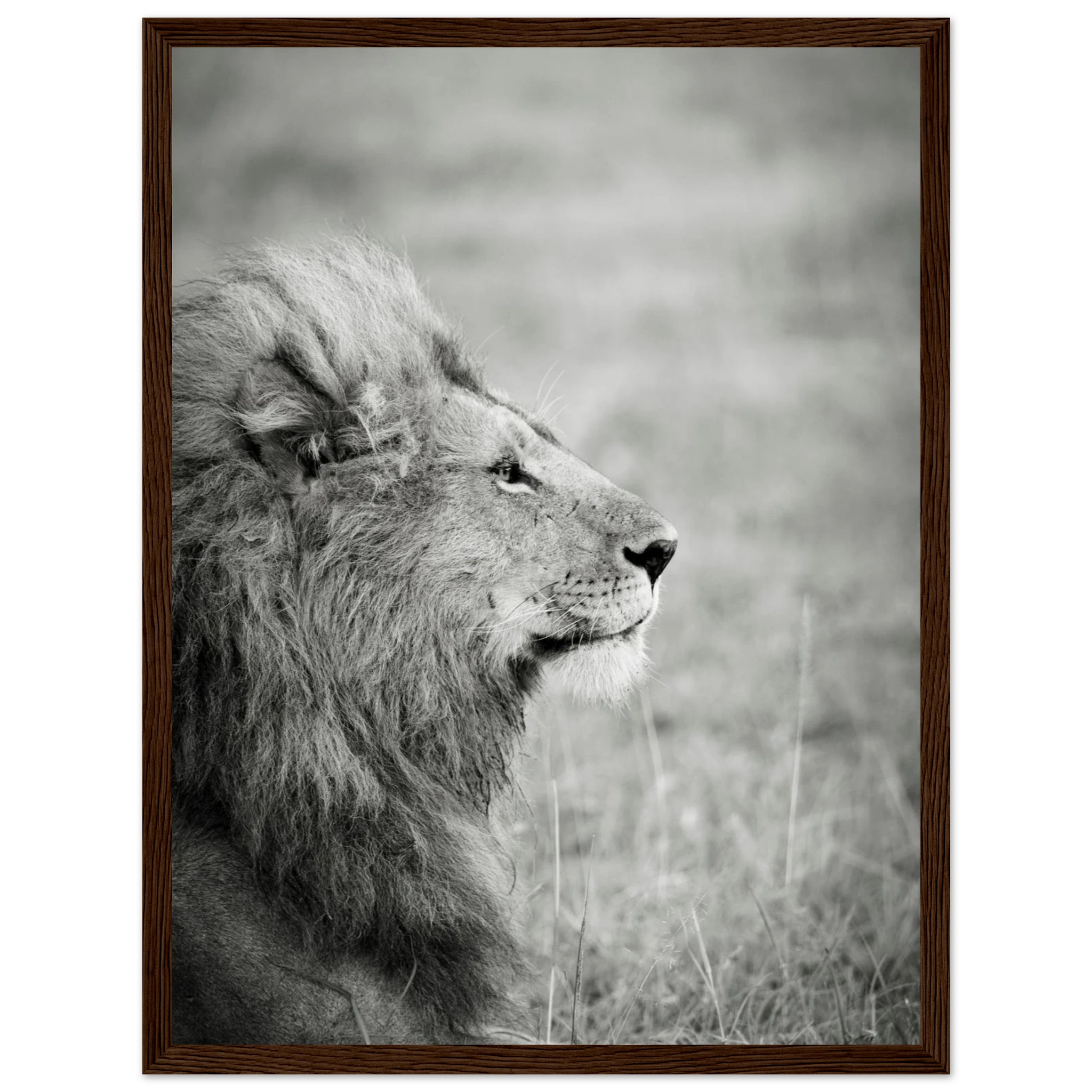 8aaff1c0-fe18-4a25-9812-cb0b625f1235