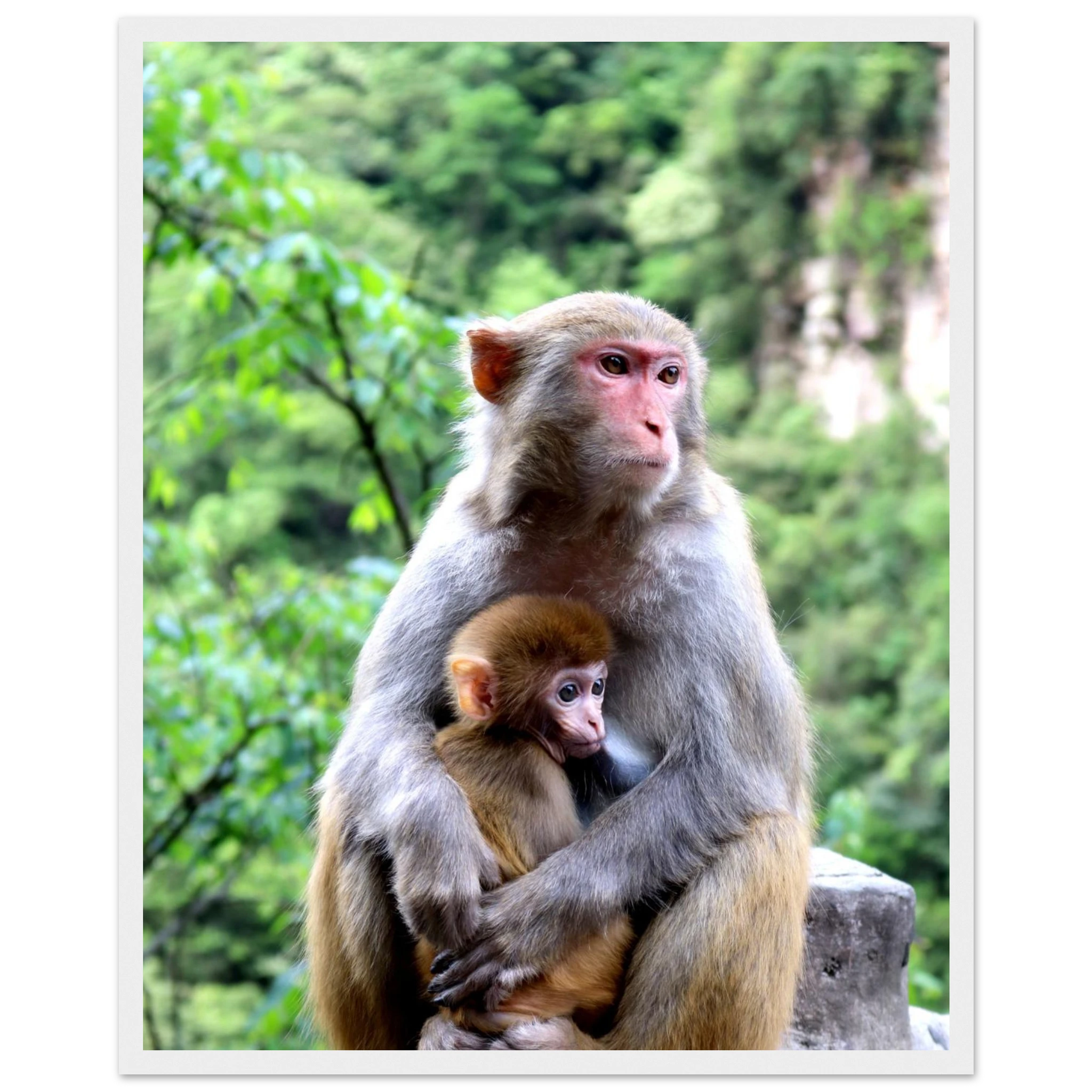 8ac3d7d7-5900-43b1-8b82-8e7f8c150a52