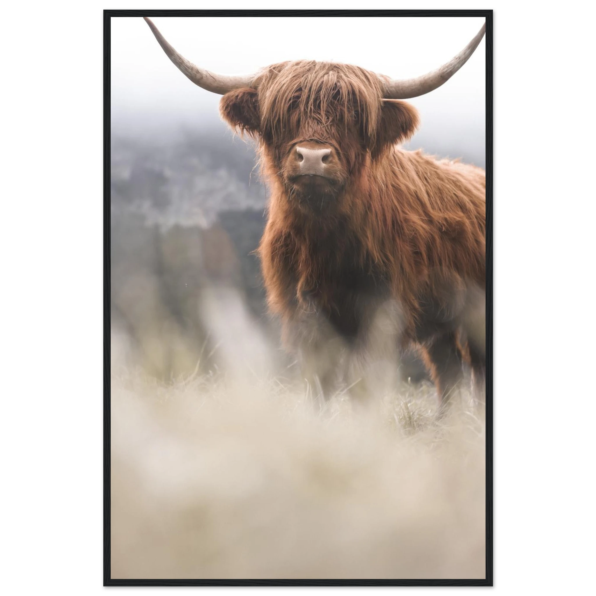 8aea2d4b-864a-4a76-a604-3dadd1d03155