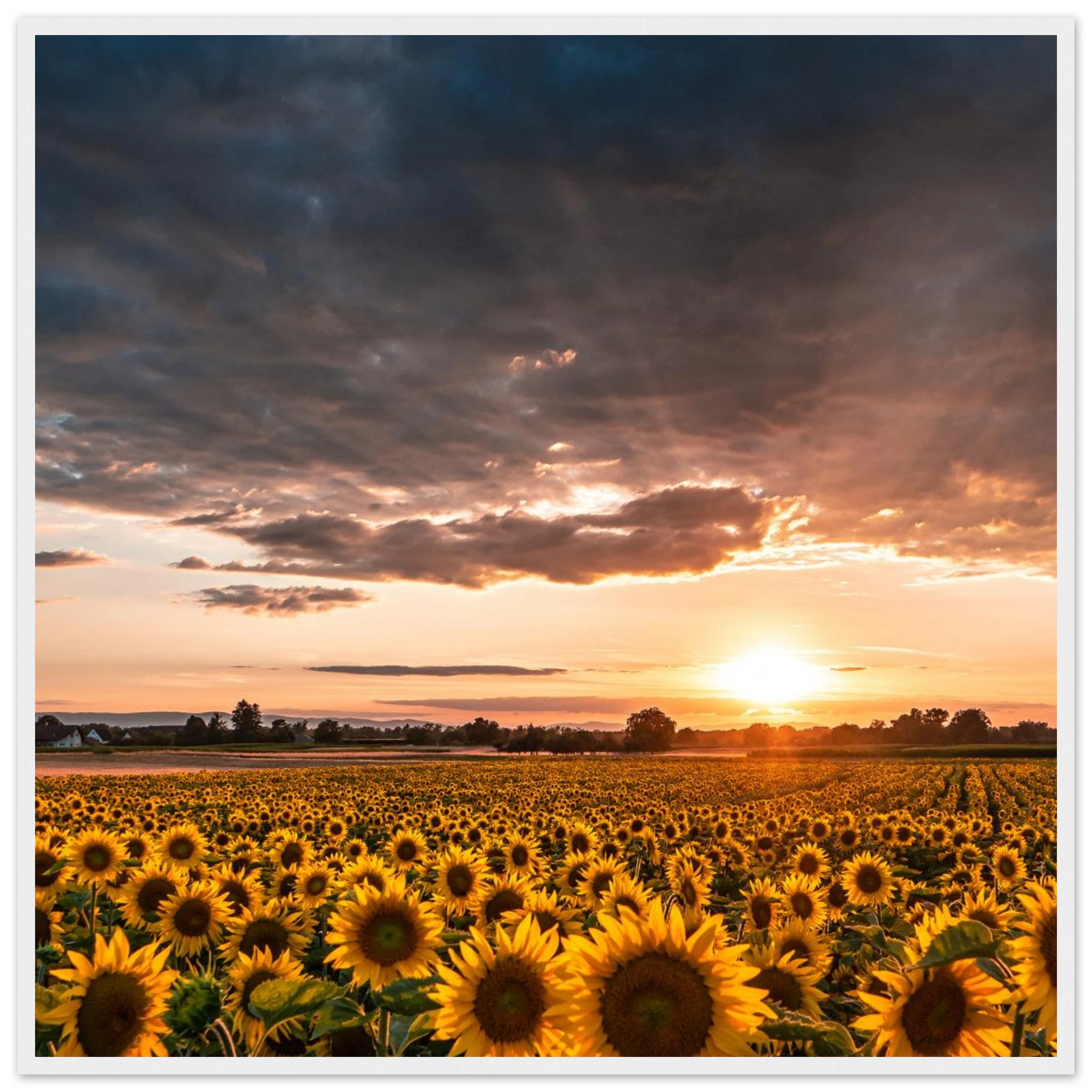 8af31a4b-8773-4068-a66a-c76adb79b322