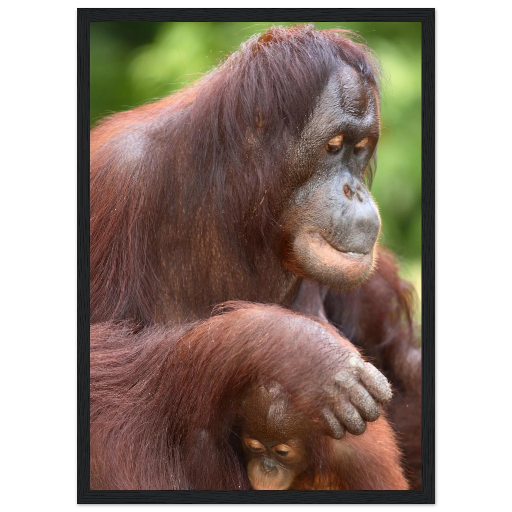 8af9738d-315a-4e6d-a4b3-0c4e940c5cef