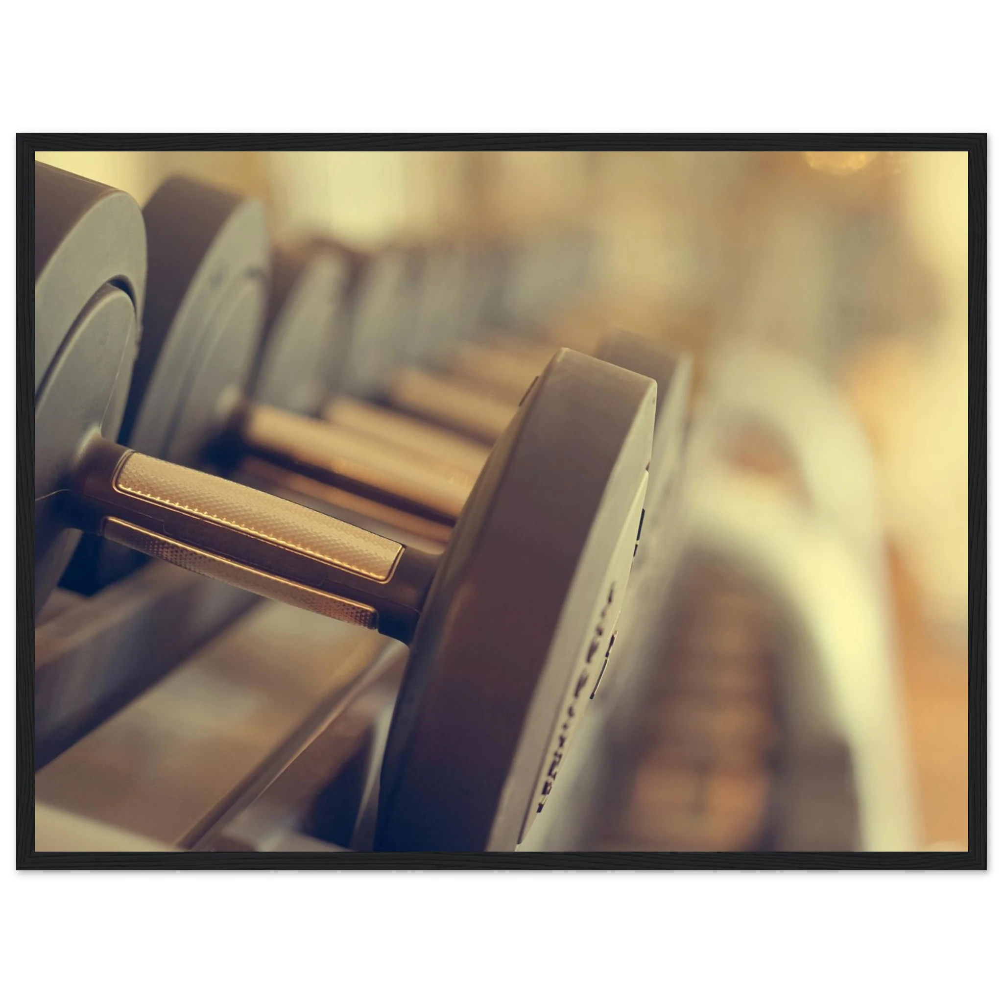 8afcdb39-58d0-4574-b77b-2a43049a8179